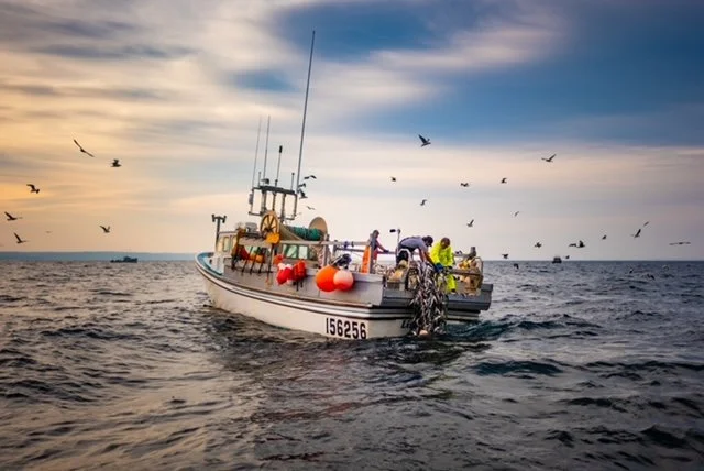 A commercial herring boat on the Northumberland Straight off the coast of Nova Scotia in the fall.