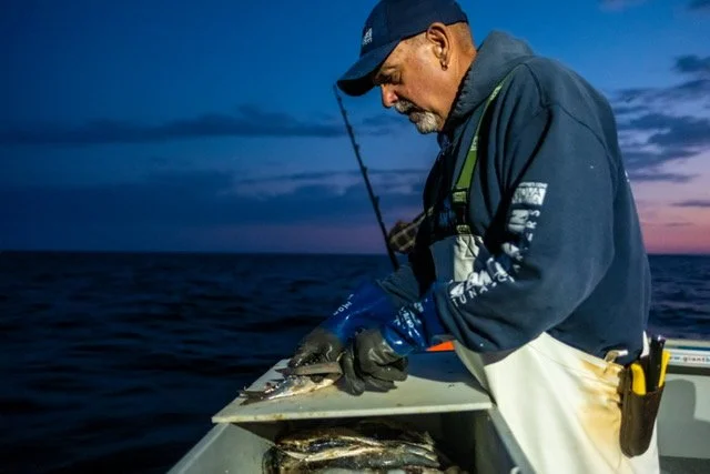 A Nova Scotia deckhand tirelessly chumming the water to attract a giant bluefin tuna in the Northumberland Straight.