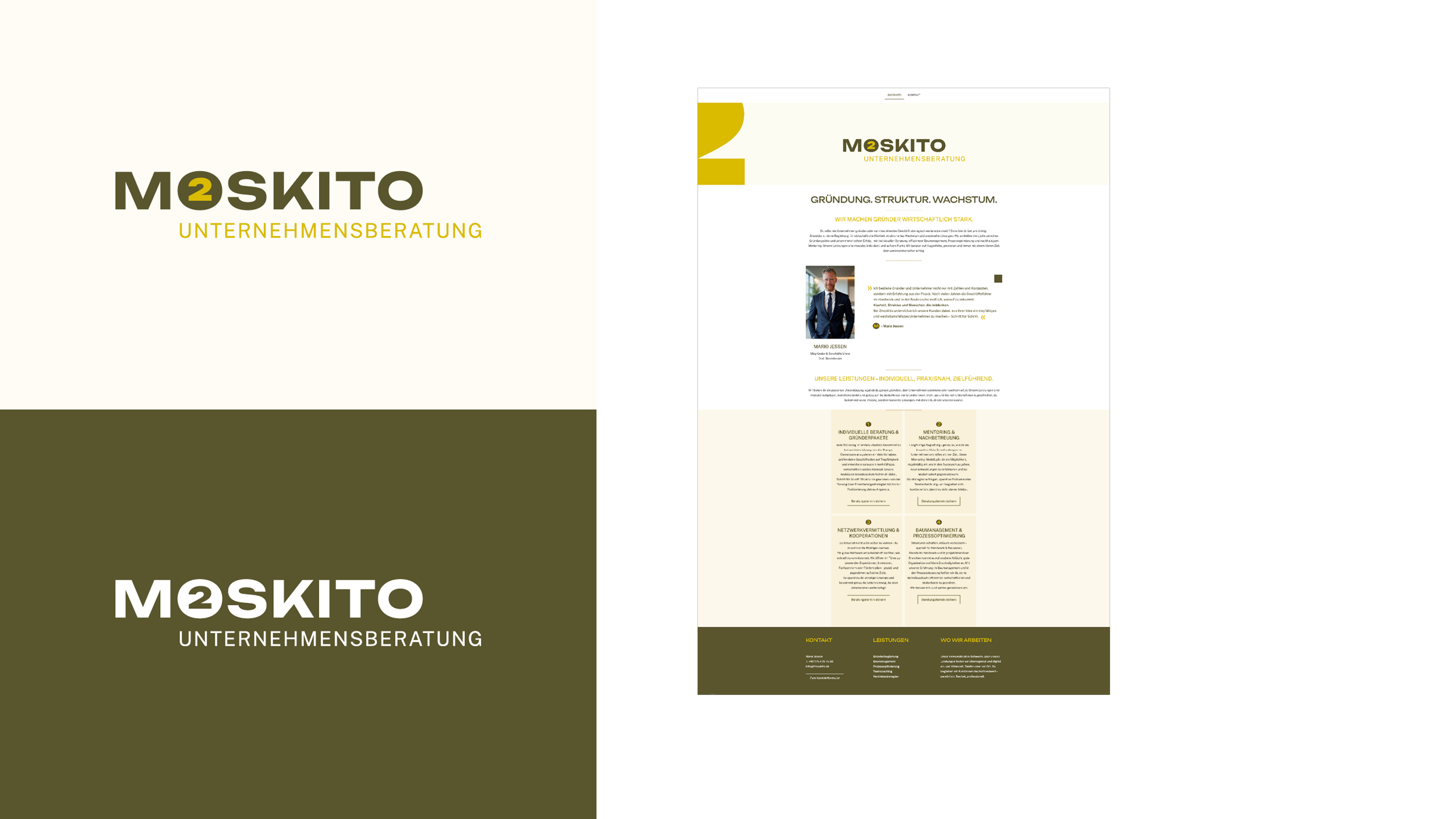 Logodesign 2Moskito und Website Startseite