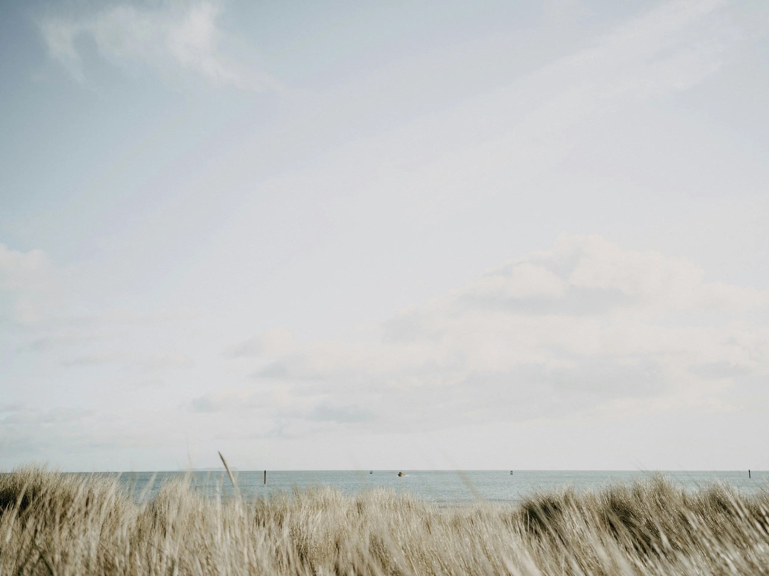 die Lehrstelle Vision