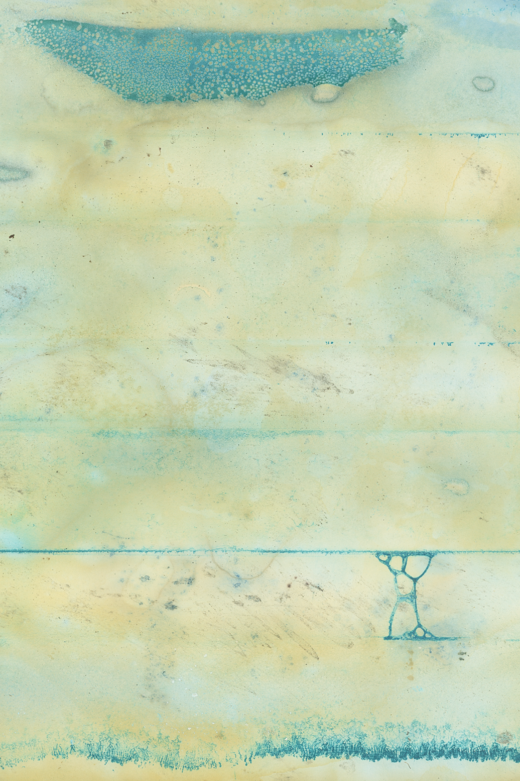 A week in a waterway.png