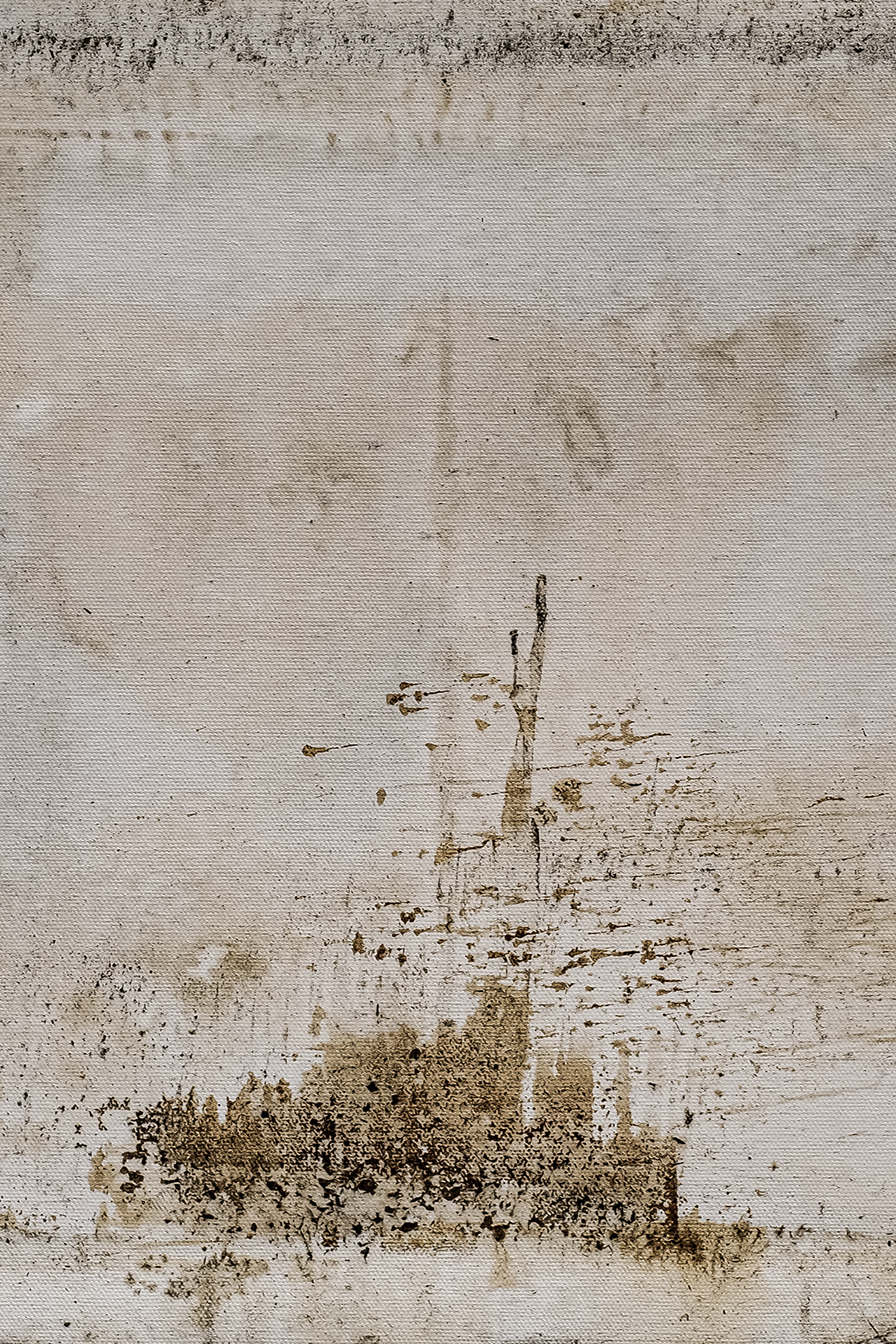 A night in the forest.png