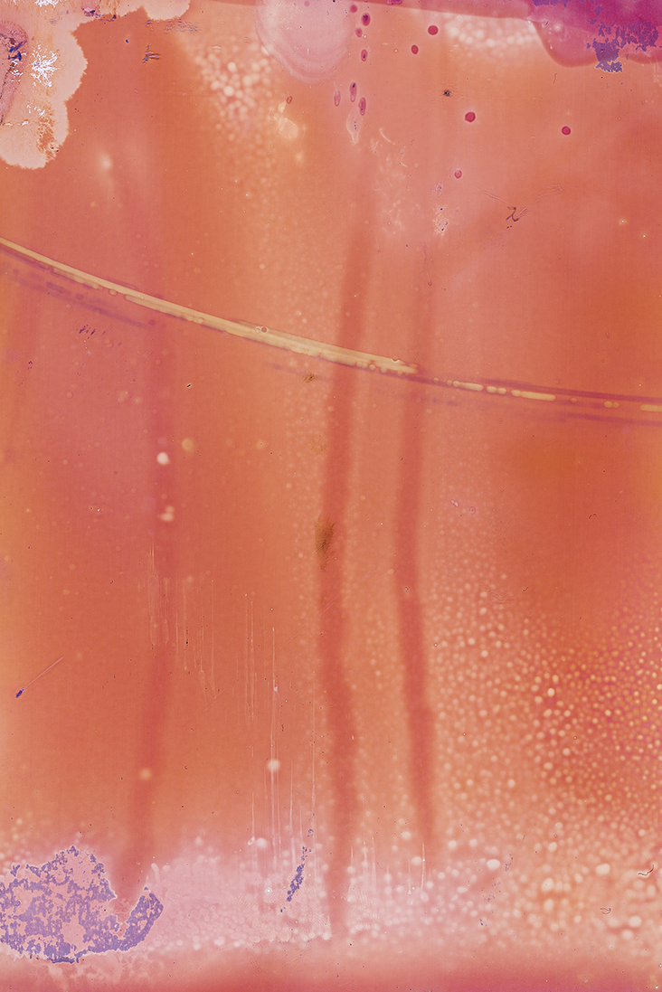 One month in a beer can.png