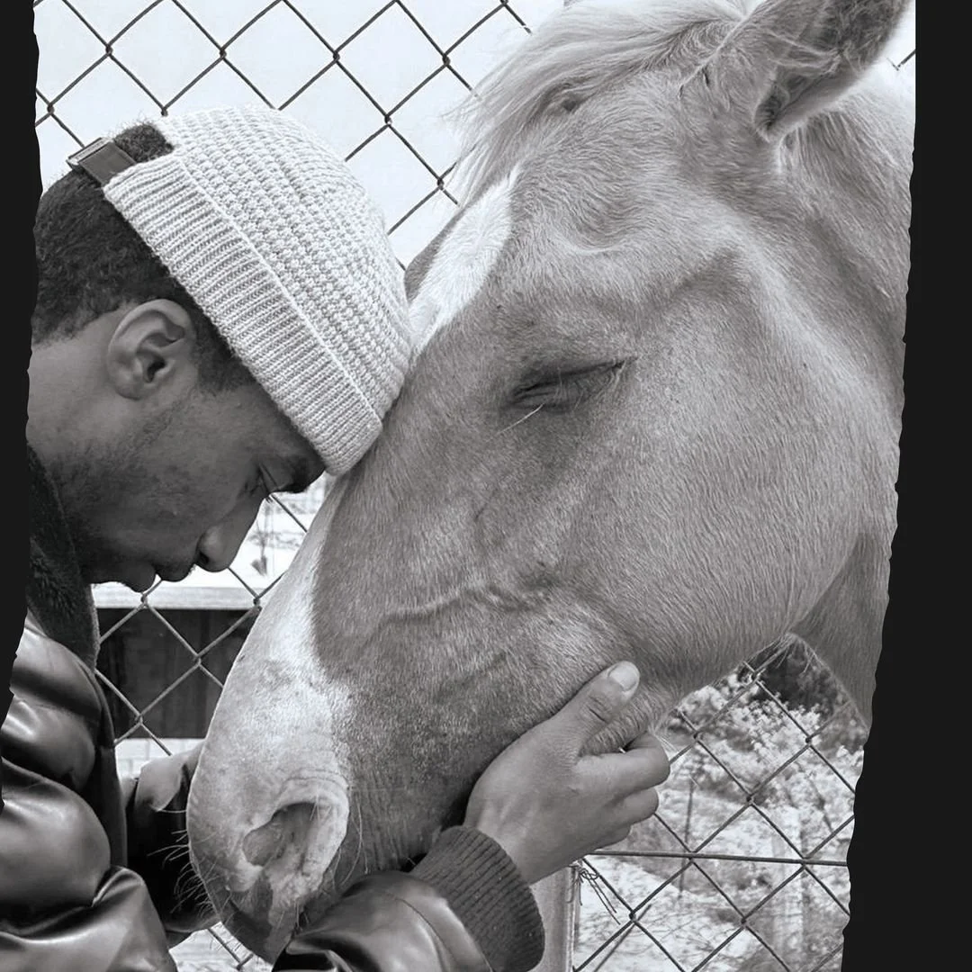 Help raise funds for displaced families and animals in Gaza 1.jpg