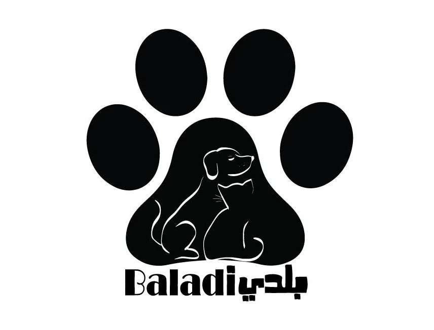 An Interview with Nada K: Empowering Animal Rights and Veganism in Palestine