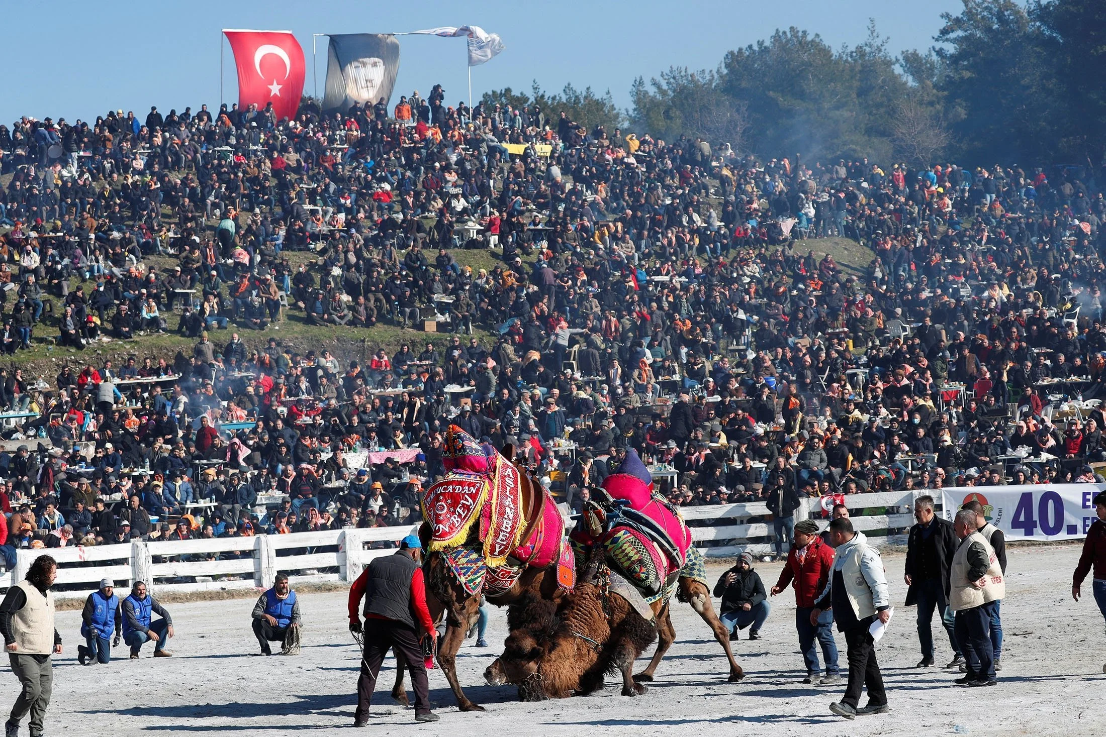 Animal Rights Activists Condemn Turkey's Annual Camel Wrestling Festival 5.jpg