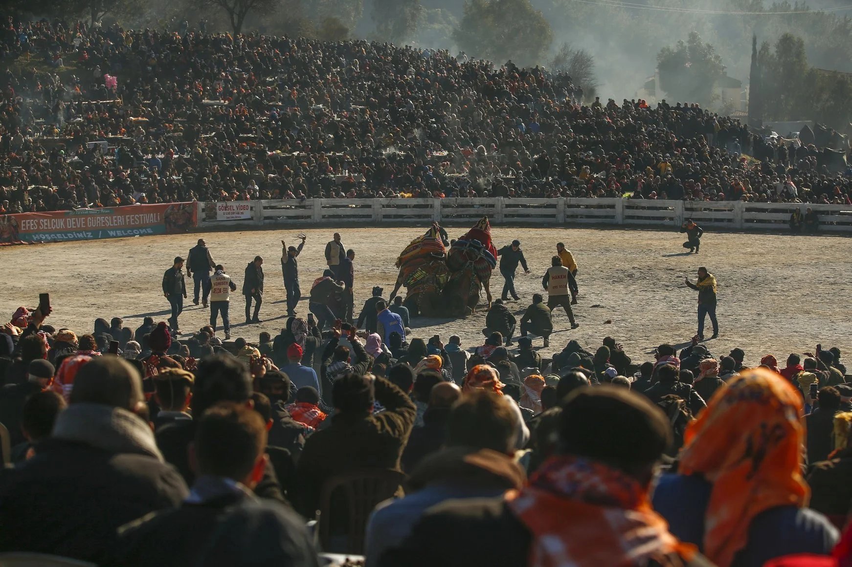 Animal Rights Activists Condemn Turkey's Annual Camel Wrestling Festival.jpg