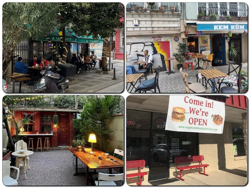 Top Vegan eateries in Istanbul as of 2024