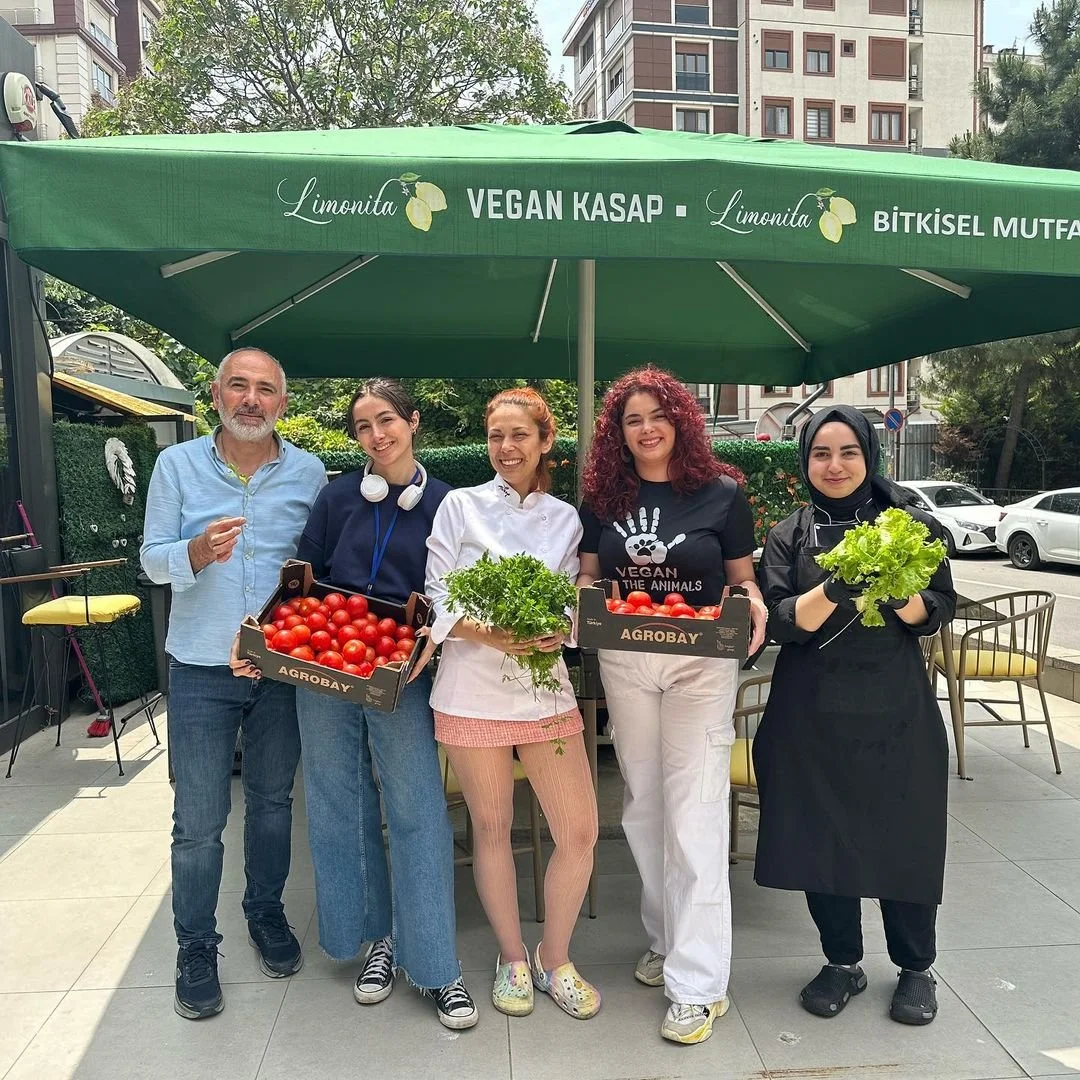 Limonita Vegan 13.jpg