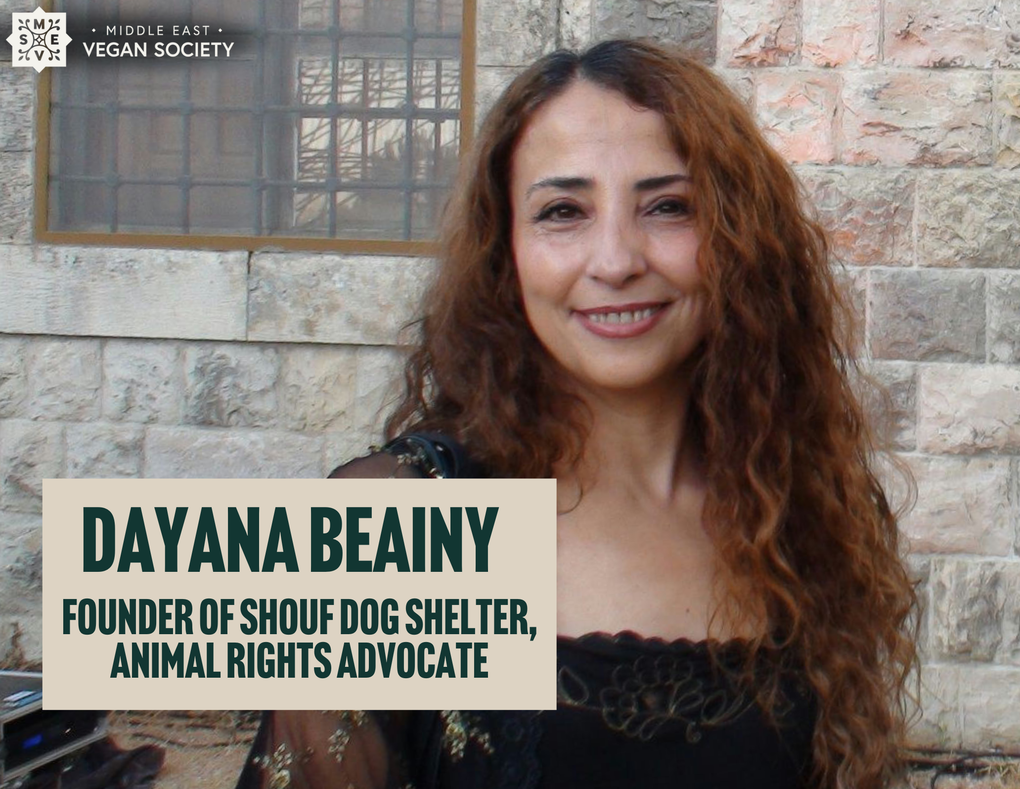 Interviewing Dayana Beainy, founder of The shouf dog shelter, vegan and animal rights advocate 