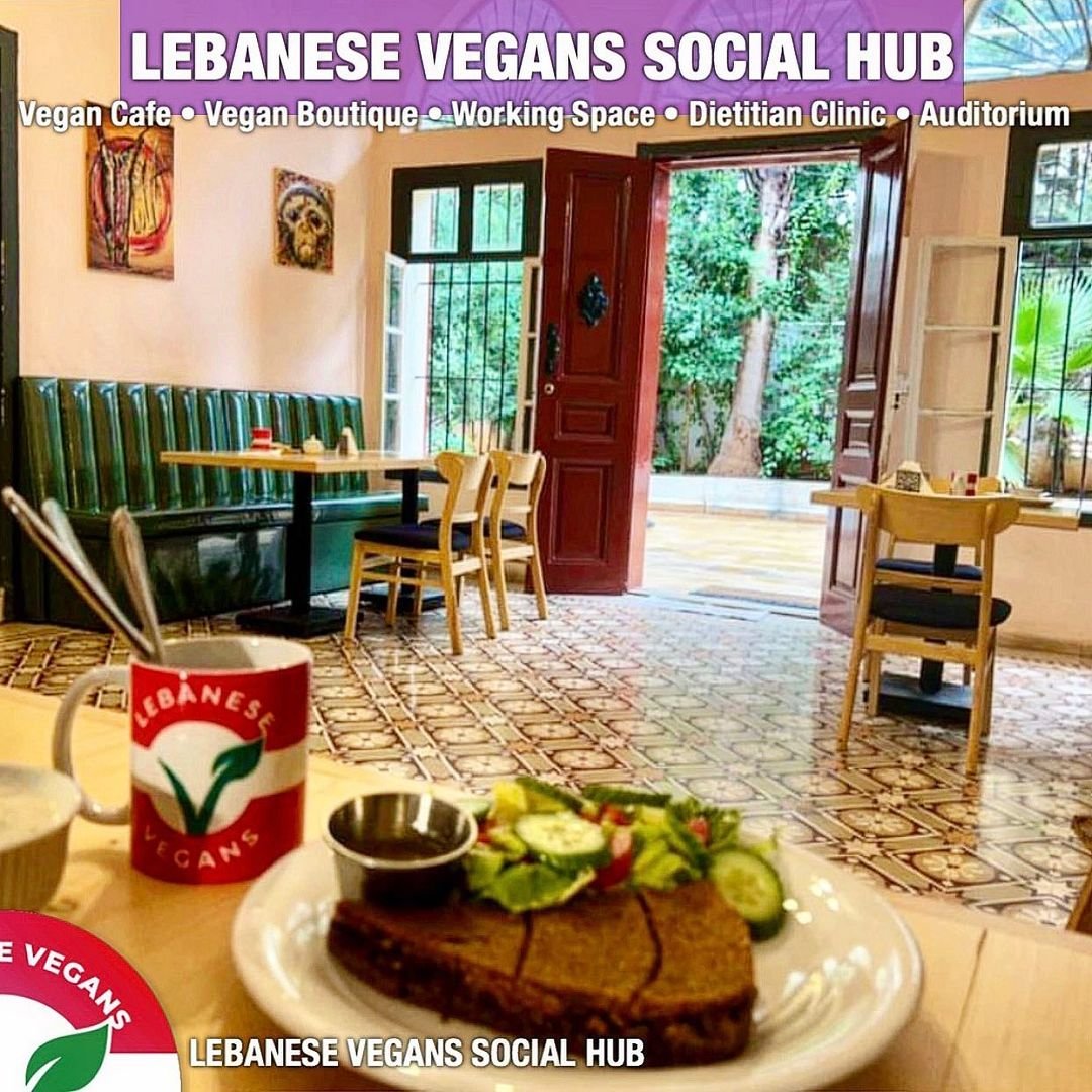 vegan restaurants in Lebanon - Lebanese Vegans Social Hub.jpg