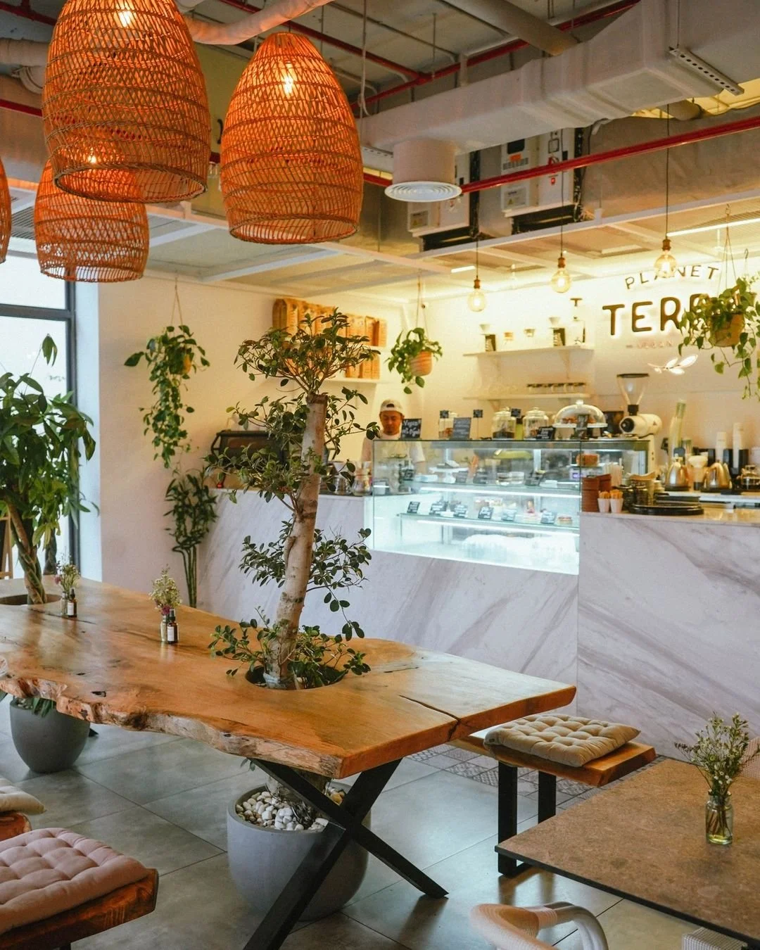 Planet Terra Dubai 1.jpg