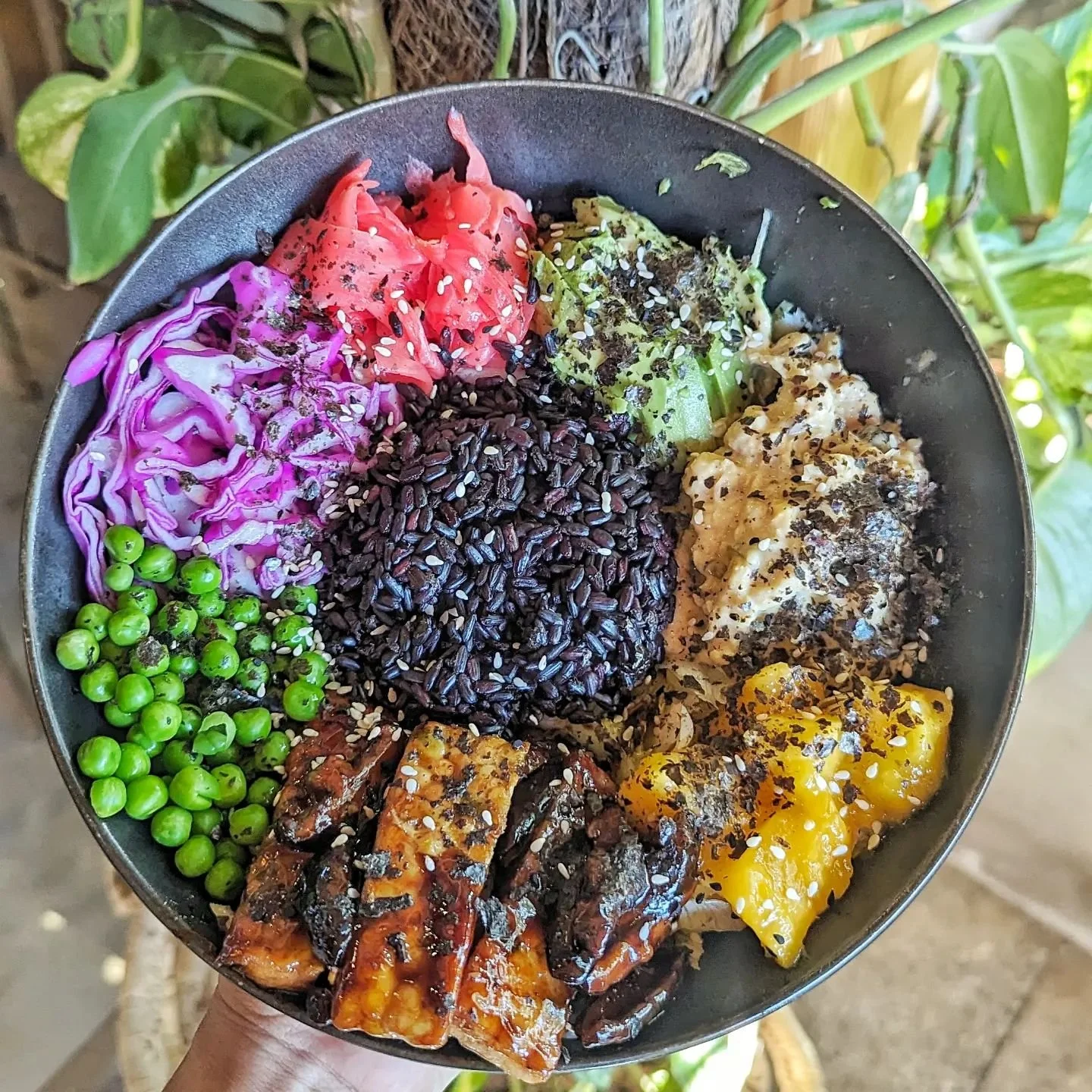 The Vegan Lab, Dahab 5.jpg