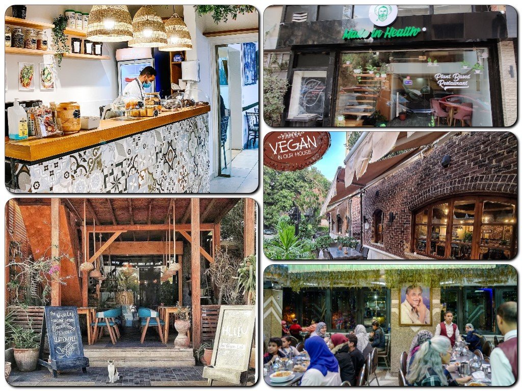 Royal Feasts: Discover 100% Vegan Restaurants Across Egypt