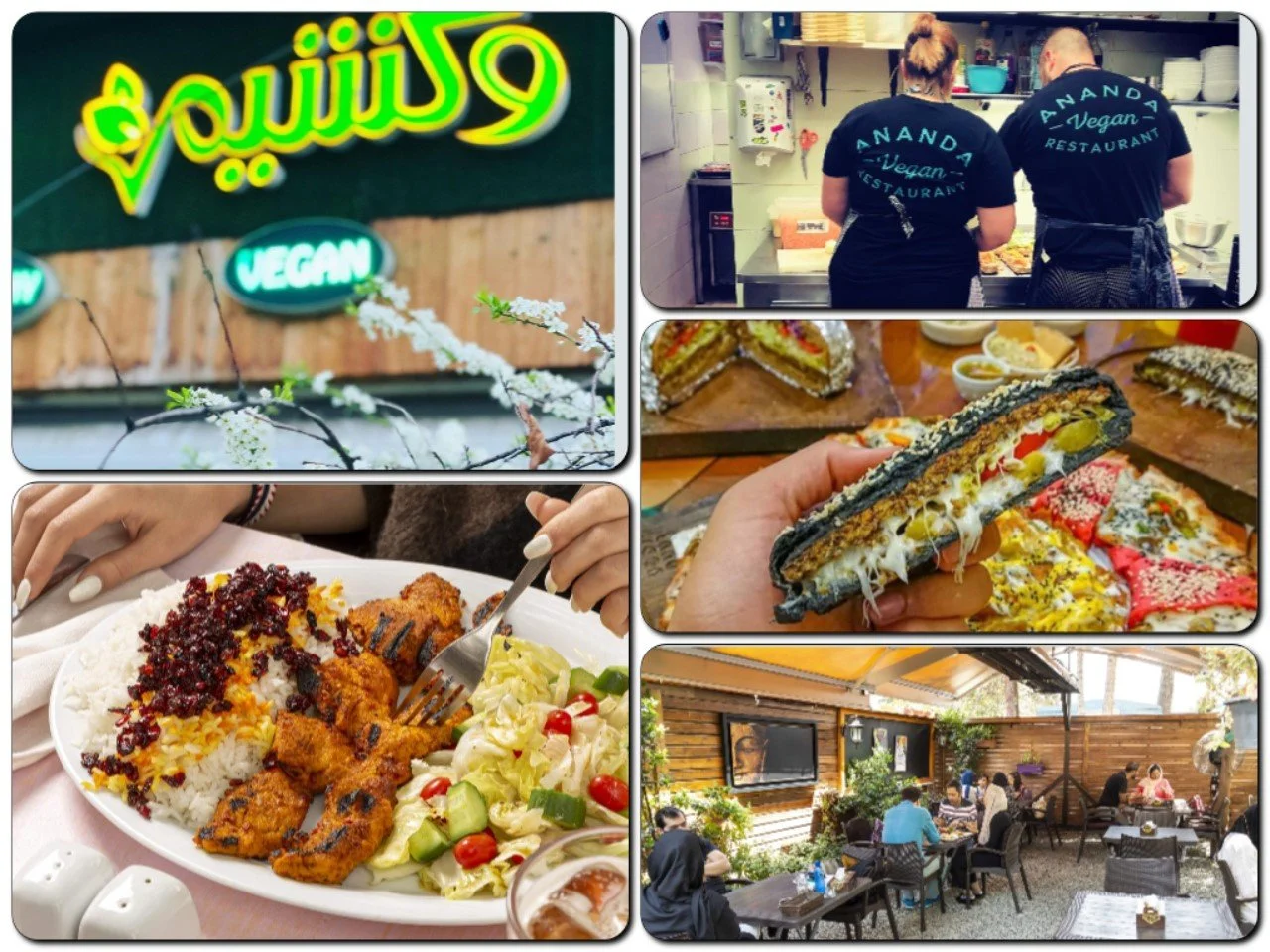 Top Vegan restaurants in Tehran for an exceptional dining experience.