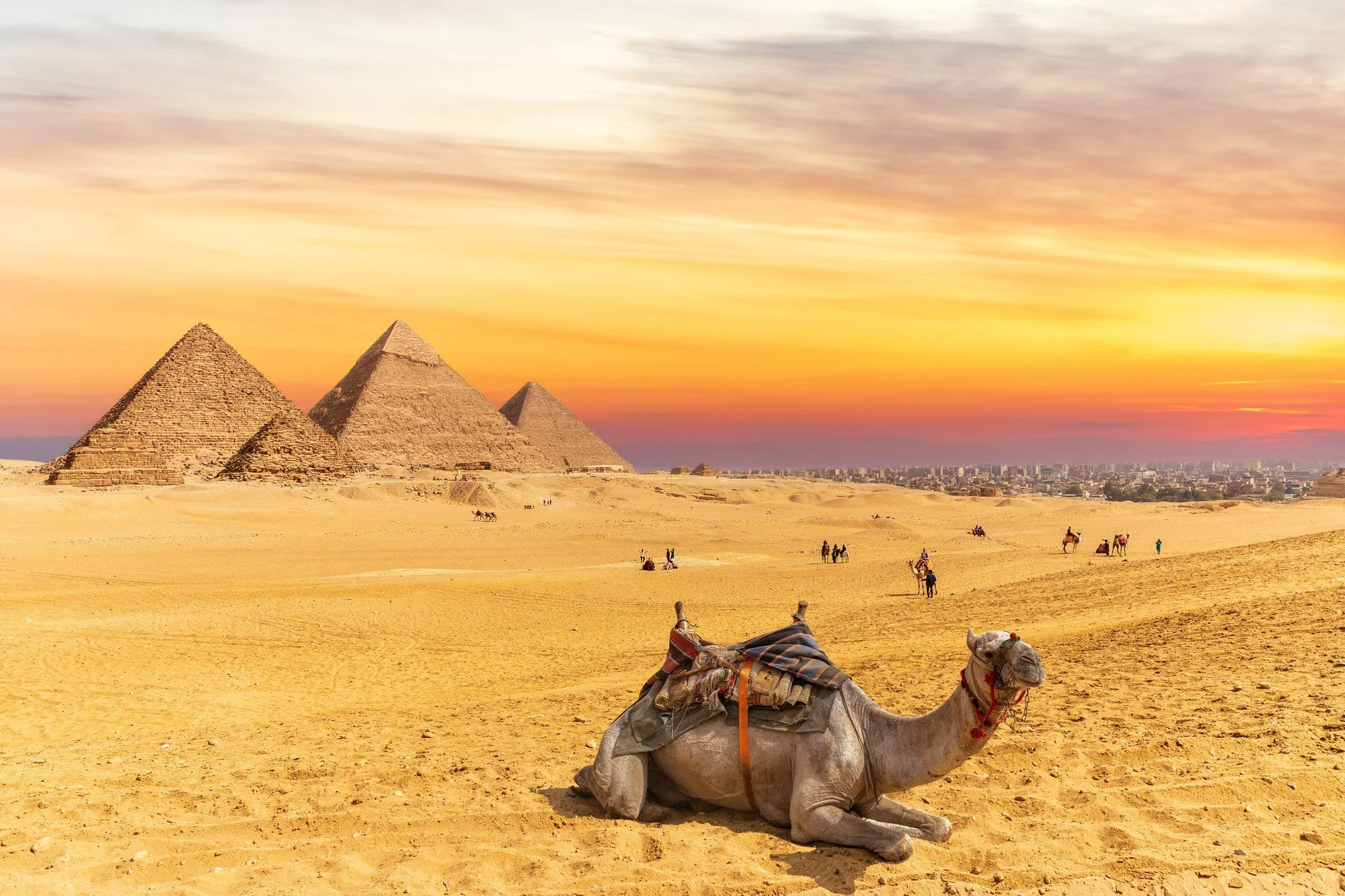 Travel Responsibly in Egypt: Say No to Animal Exploitation and Embrace Ethical Tourism