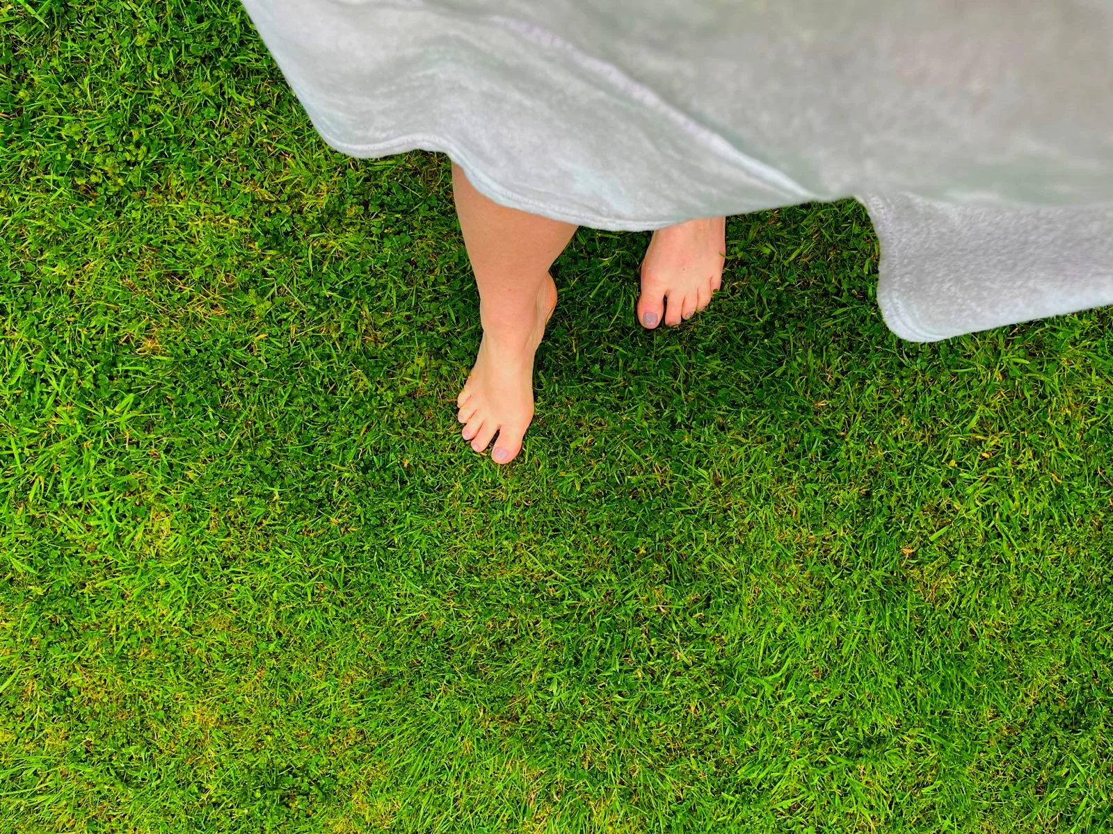 Bare feet, painted toes in lush green grass