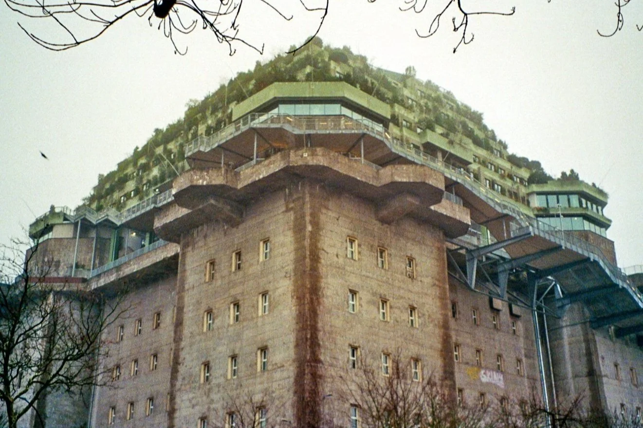 imm015_16.jpg