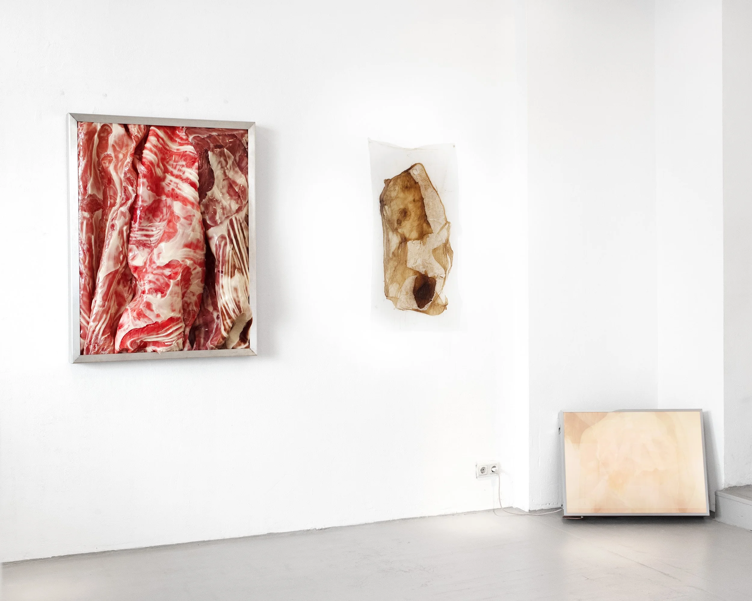 flesh so fesch, Berlin, 2024