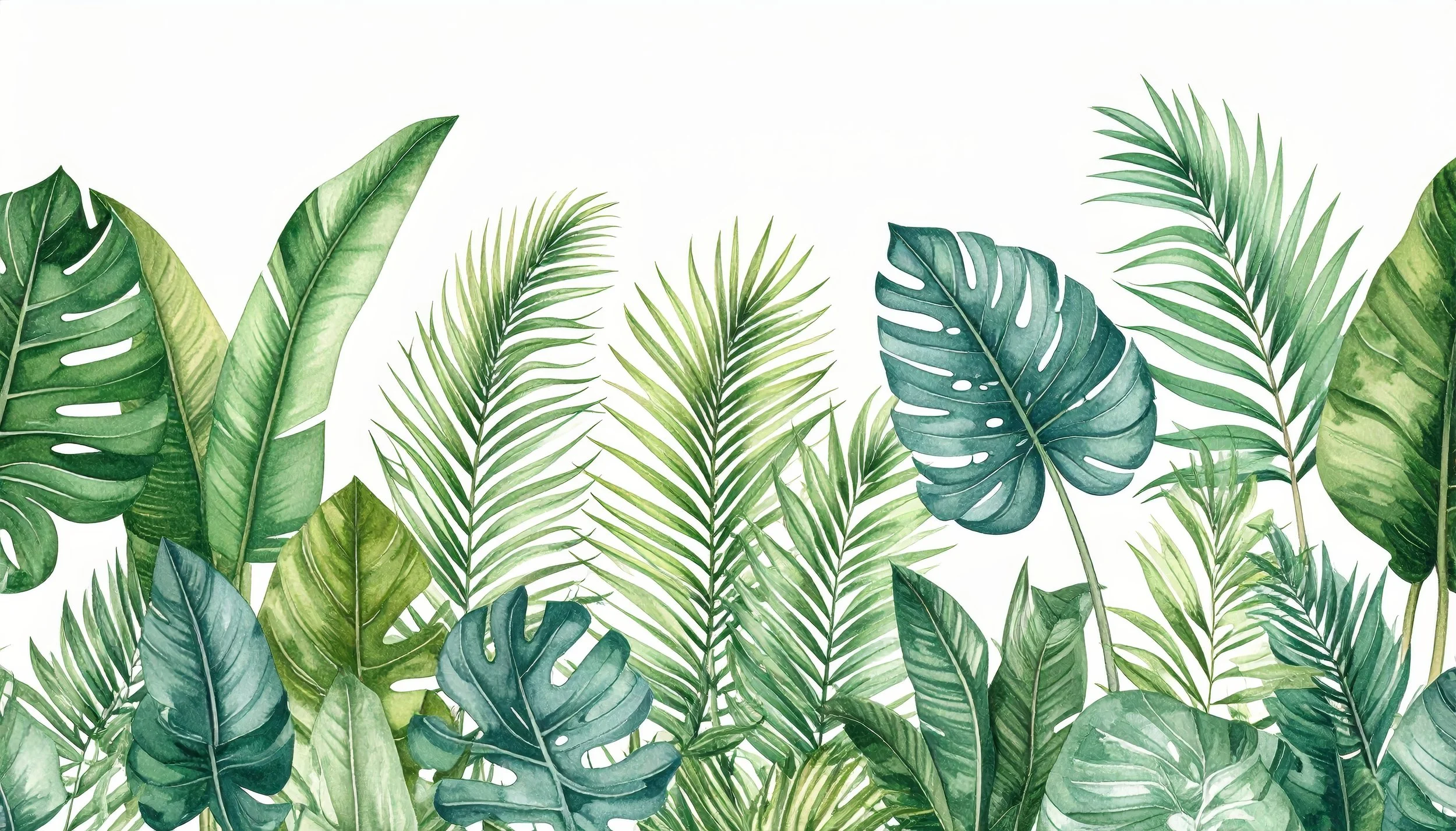 Leaves