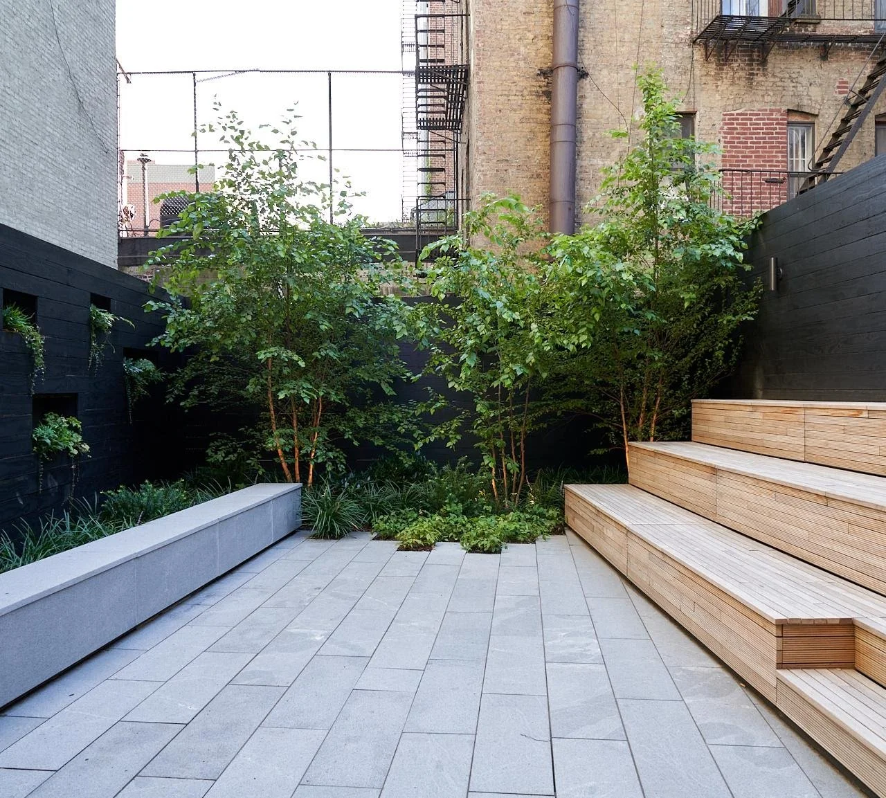 picture of plants in a landscaped yard with steps and benches