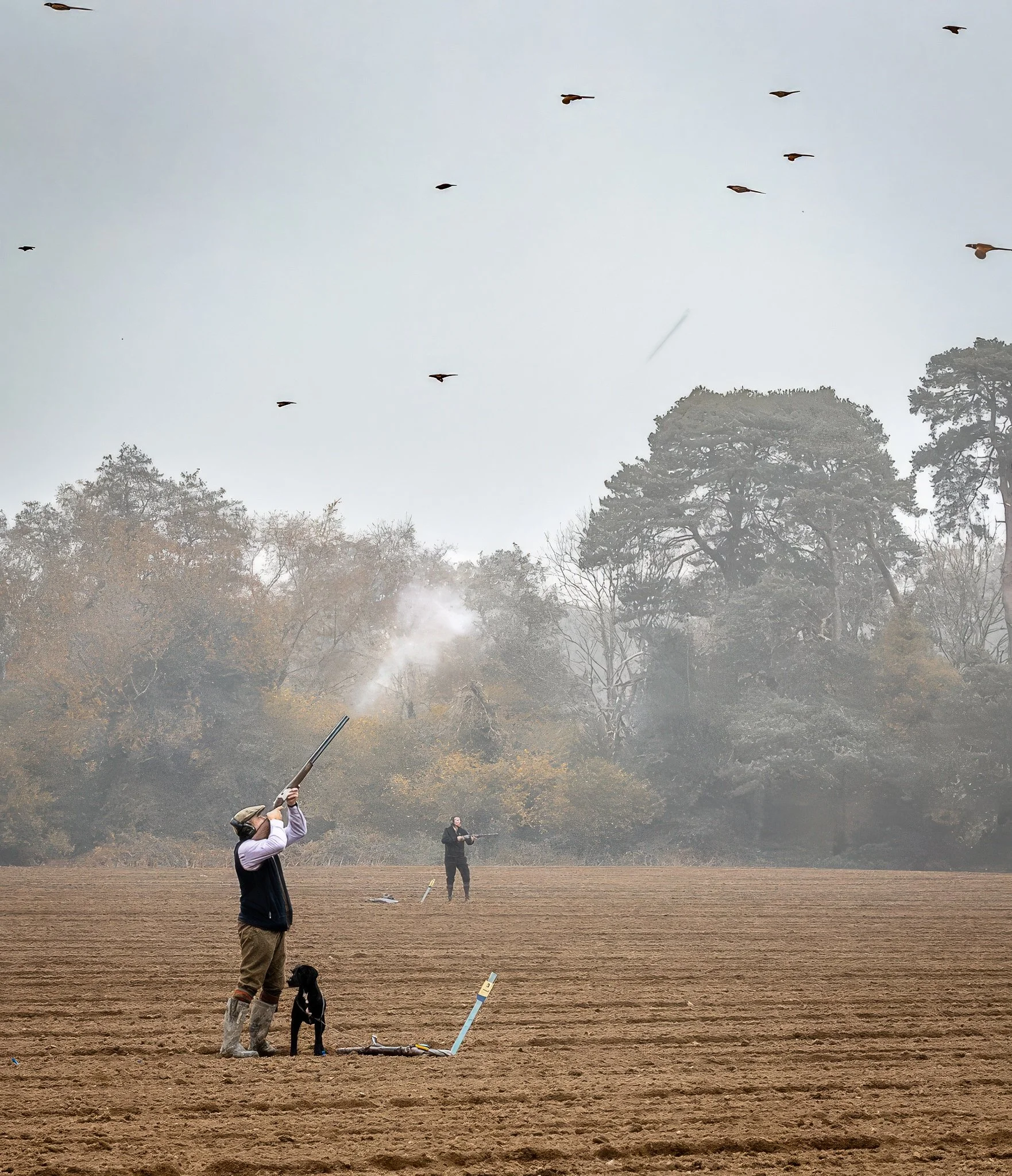 Agricultural Photography