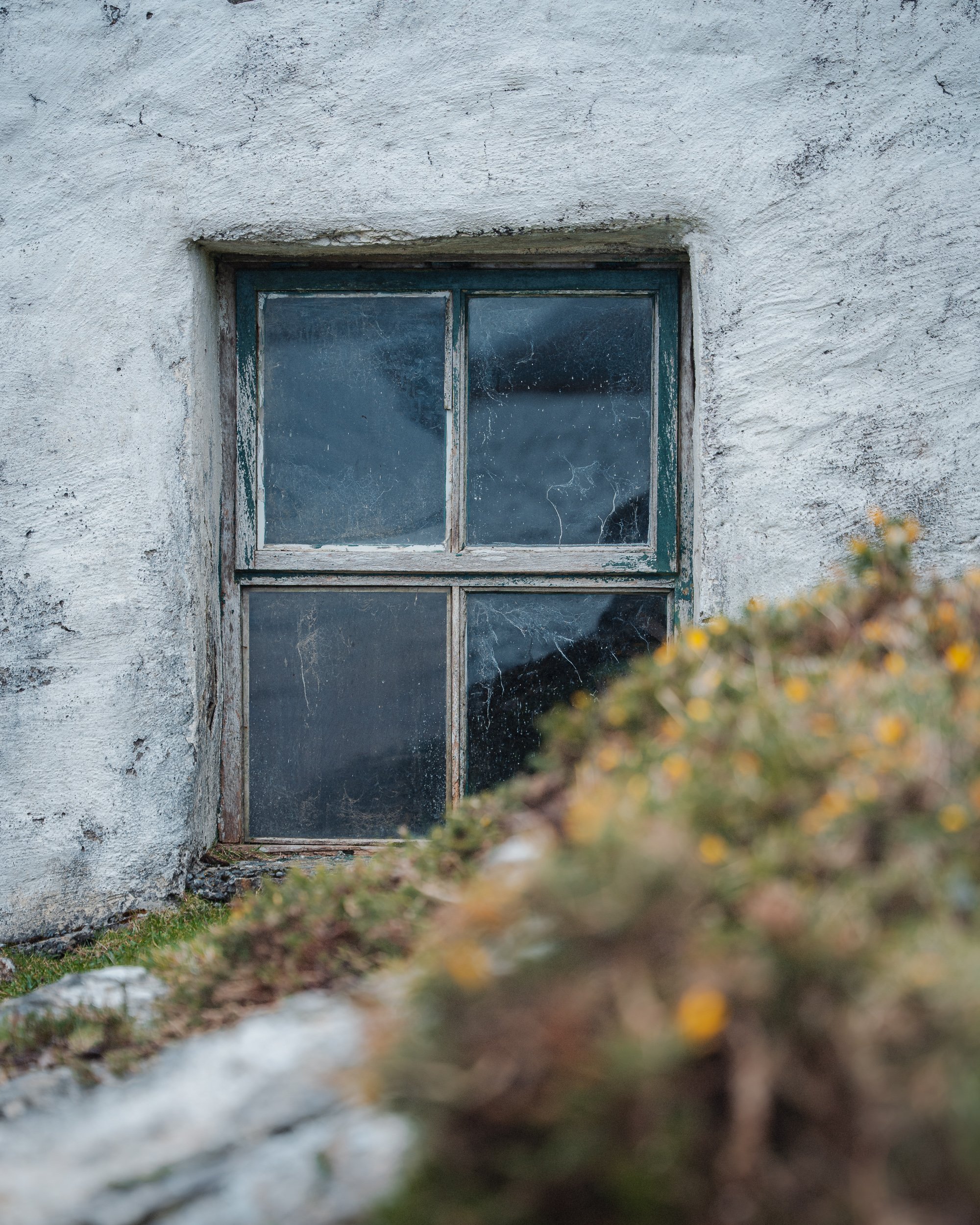 Shane Casey - Mayo-26.jpg