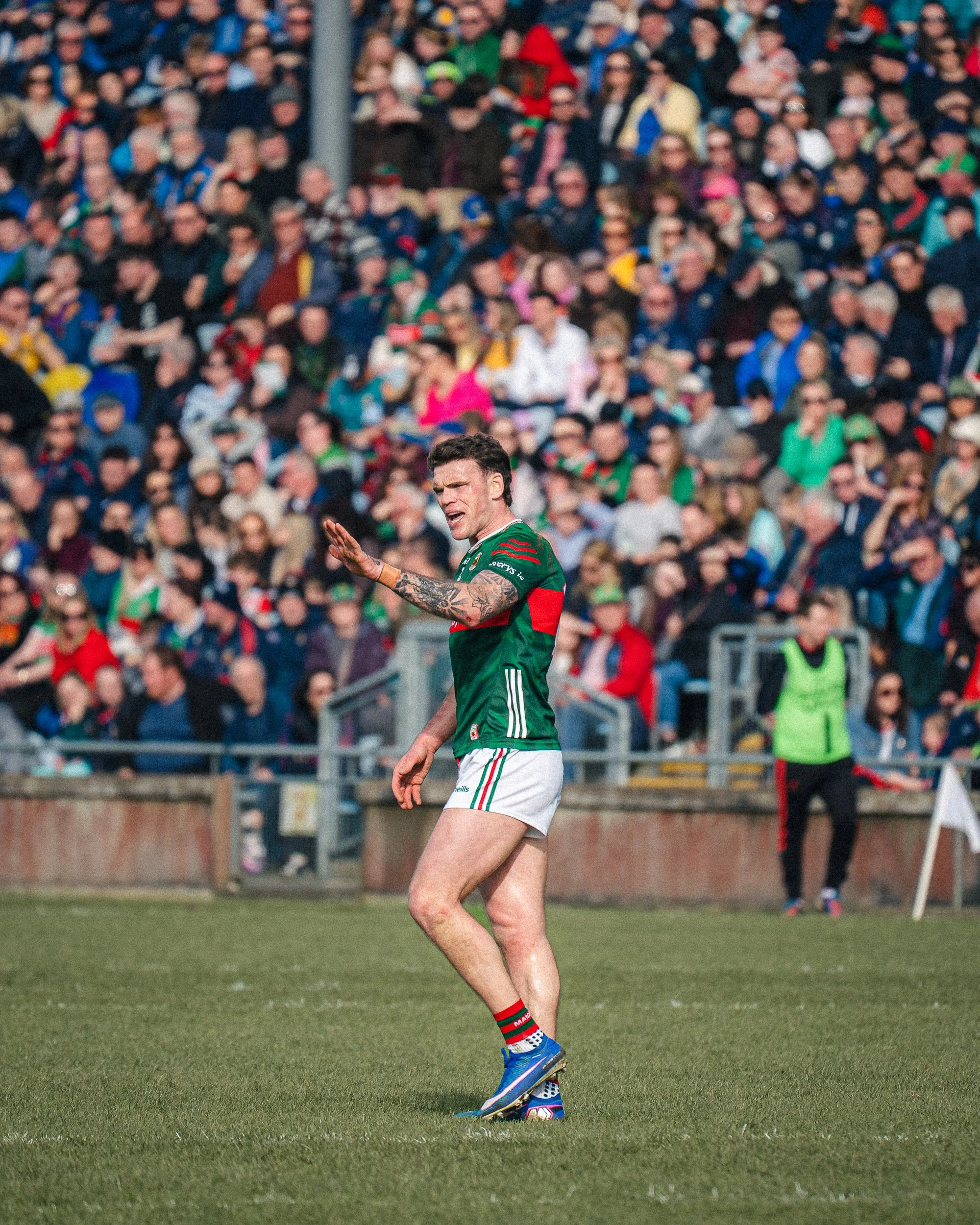 Shane Casey - Mayo v Roscommon-18.jpg