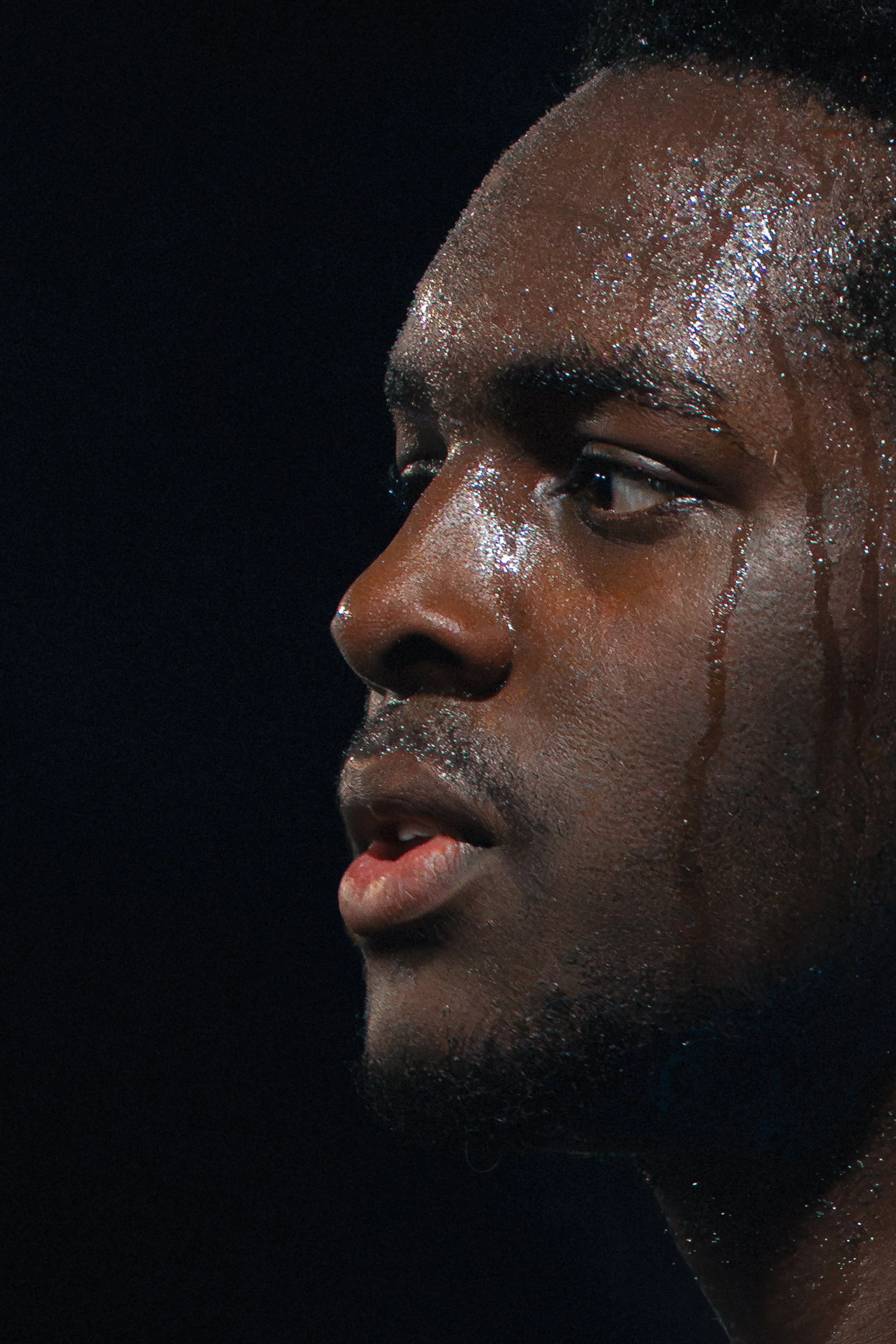 Shane Casey - CBAR Banner.jpg