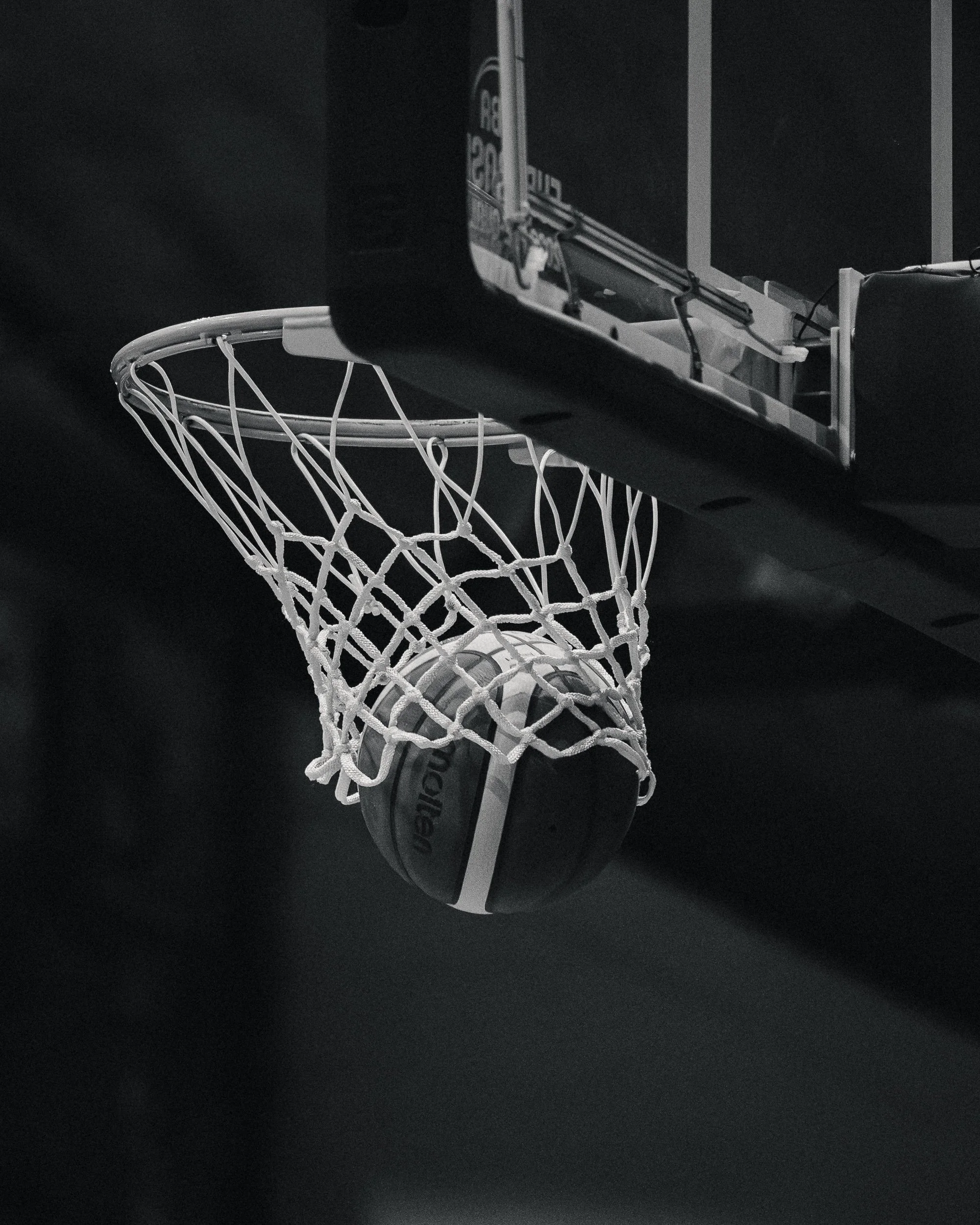 Shane Casey - Basketball Ireland-2.jpg