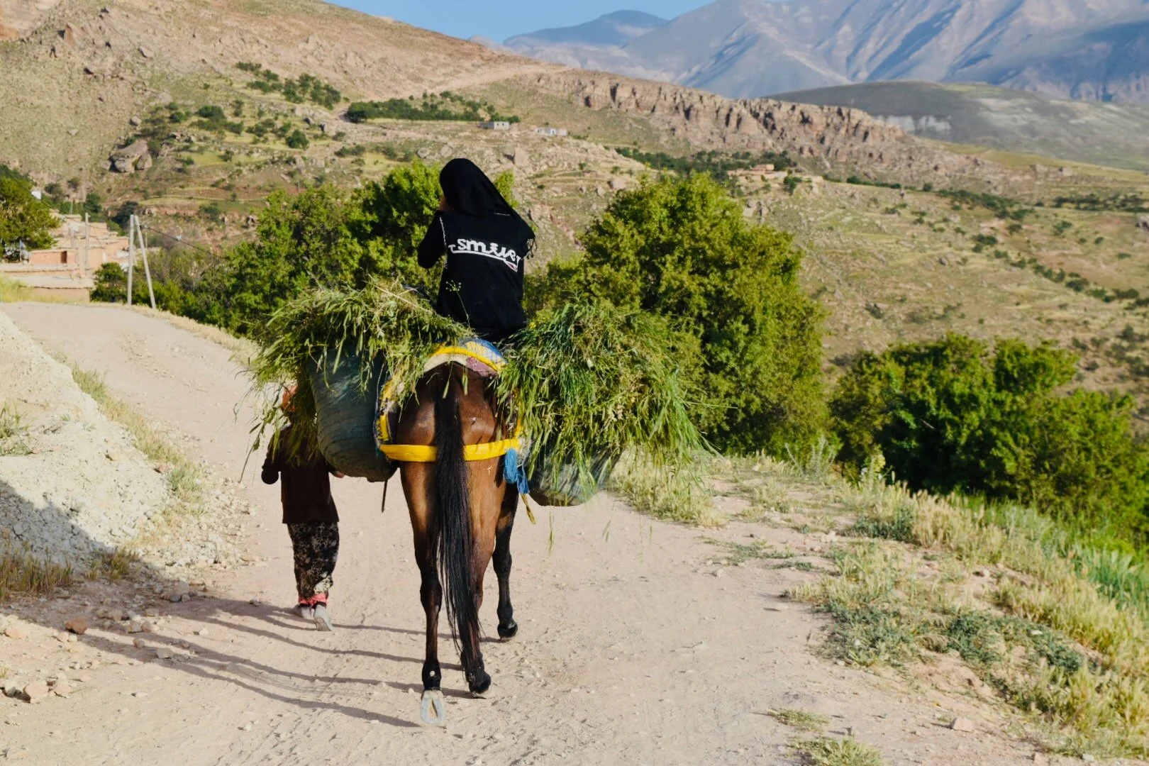 A person riding a horse on a dirt path through a rural, mountainous landscape, carrying a large load of green vegetation.