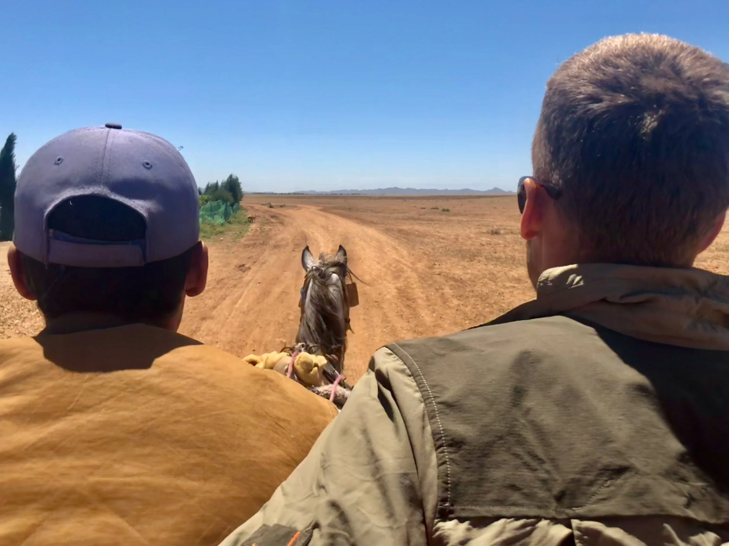 Two men riding a horse with a calf and a small dog on a dirt road through a dry, open landscape under a clear blue sky.