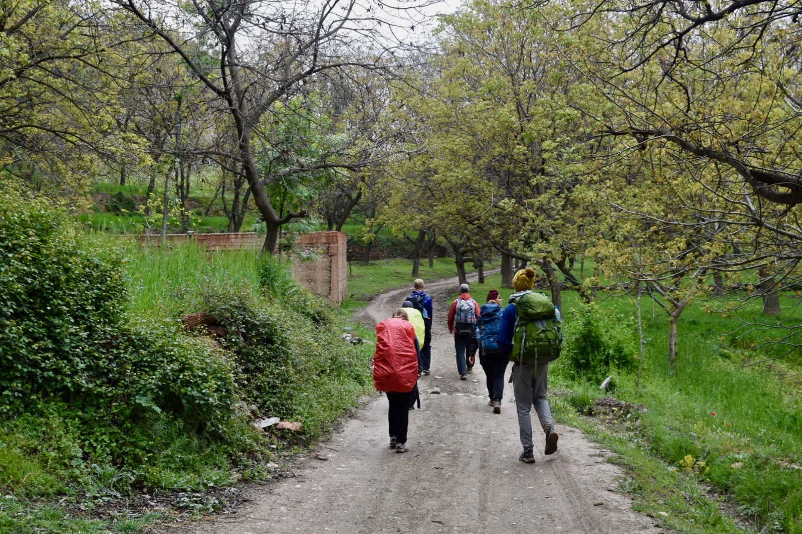 A group of people with backpacks hiking on a dirt trail through a green, wooded area with trees and shrubs.