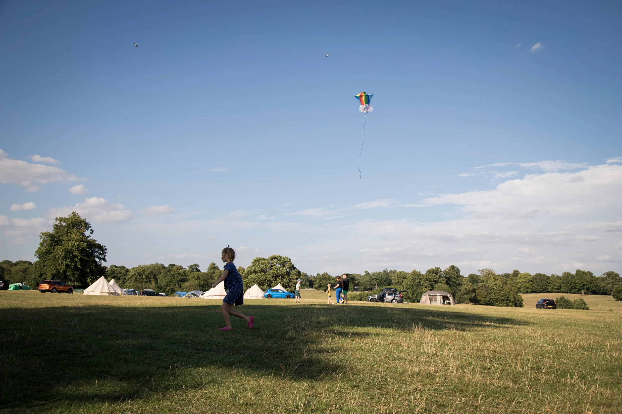 A young girl flying a kite in a grassy park with tents and cars in the background on a sunny day.