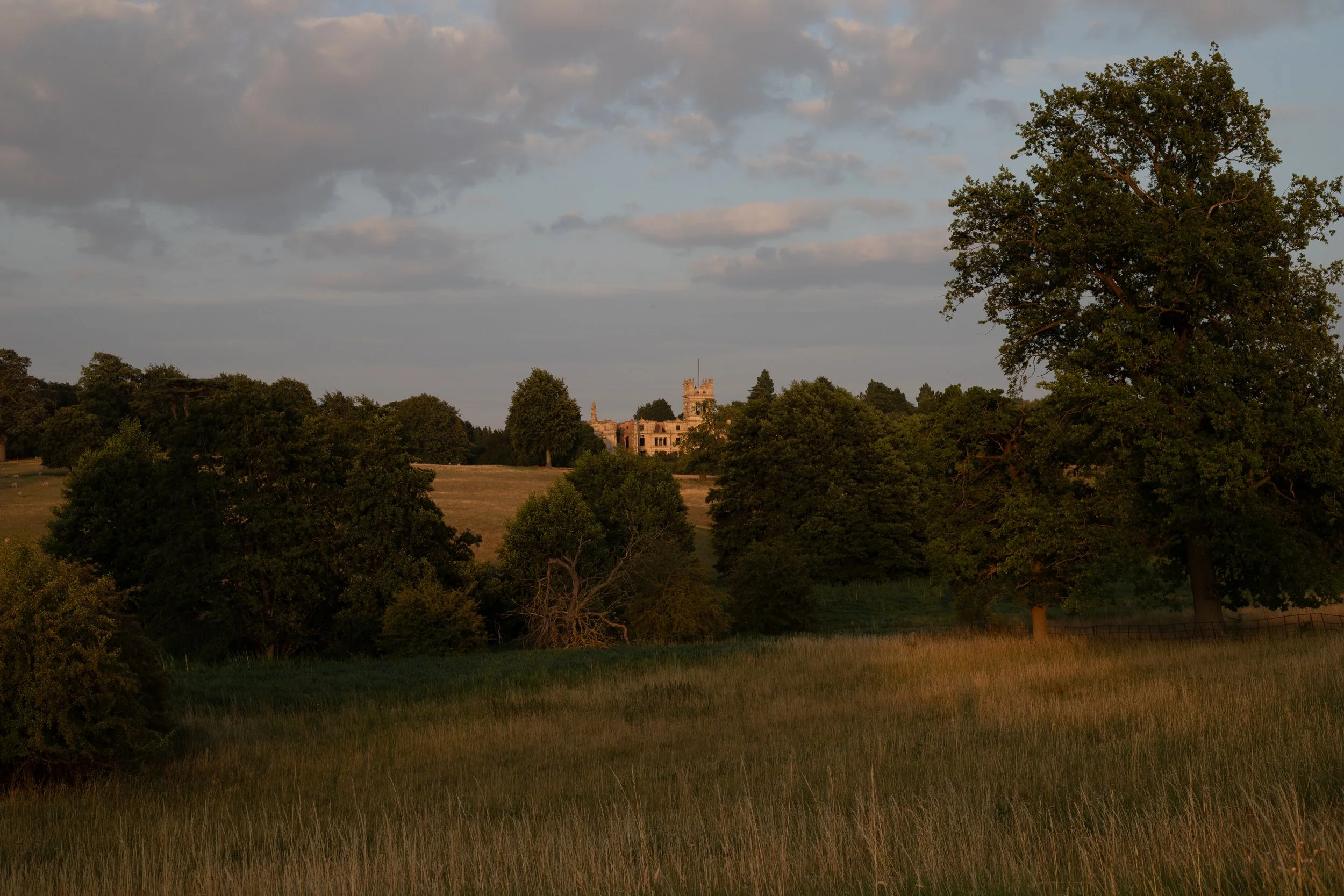 A large grassy field with tall trees and a distant old stone building with a tower, under a partly cloudy sky.