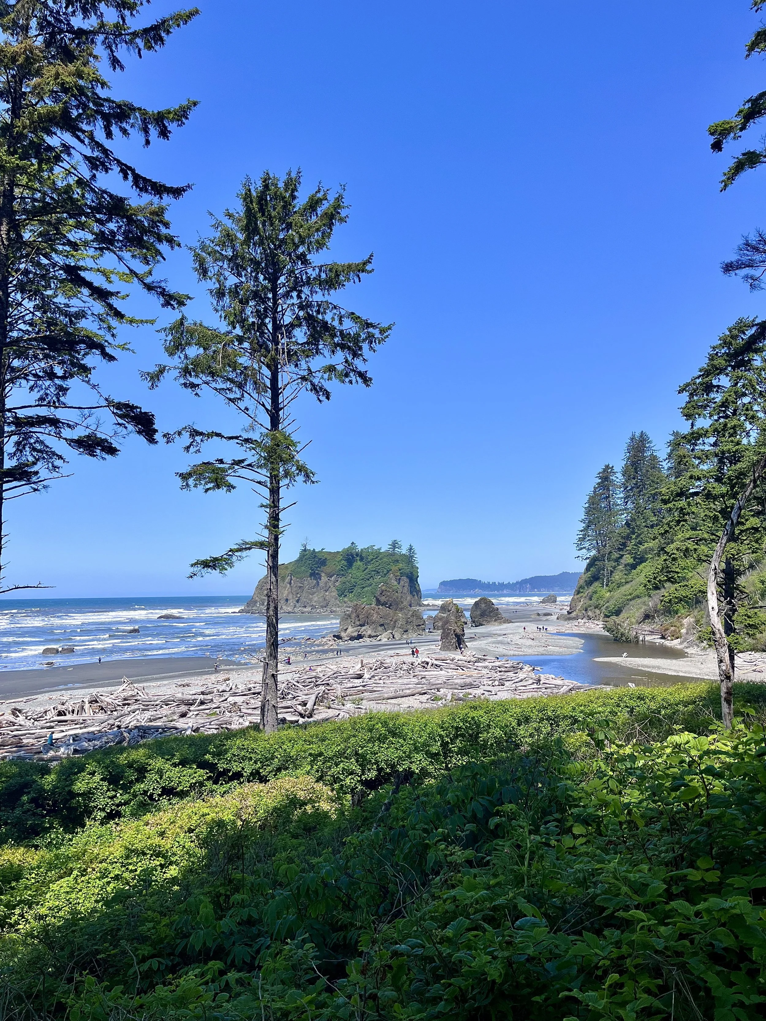 Olympic National Park, WA