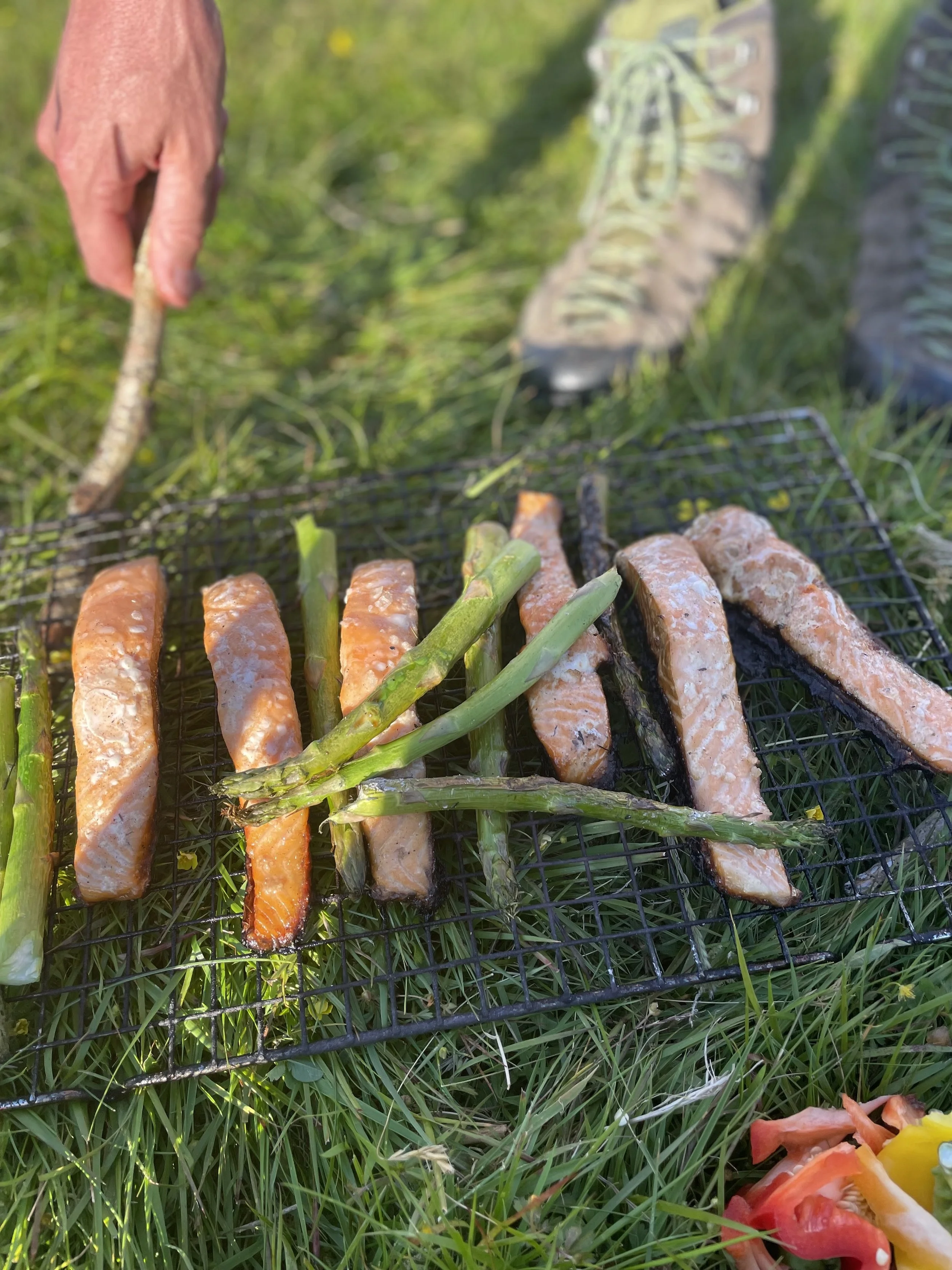 Salmon on the campfire