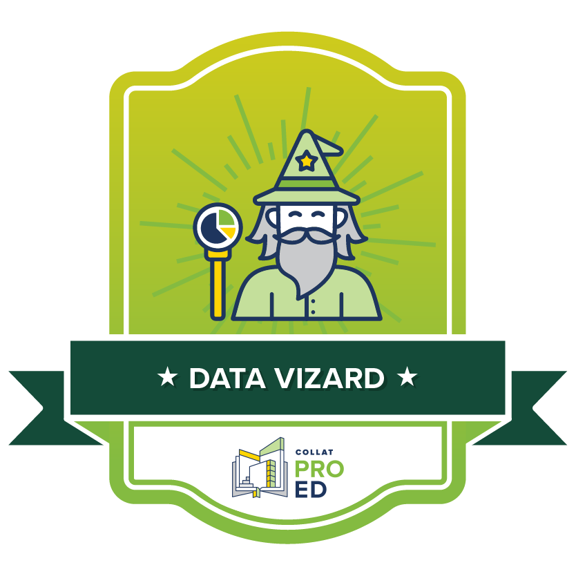 COB_Data visualization_Data Vizard.png