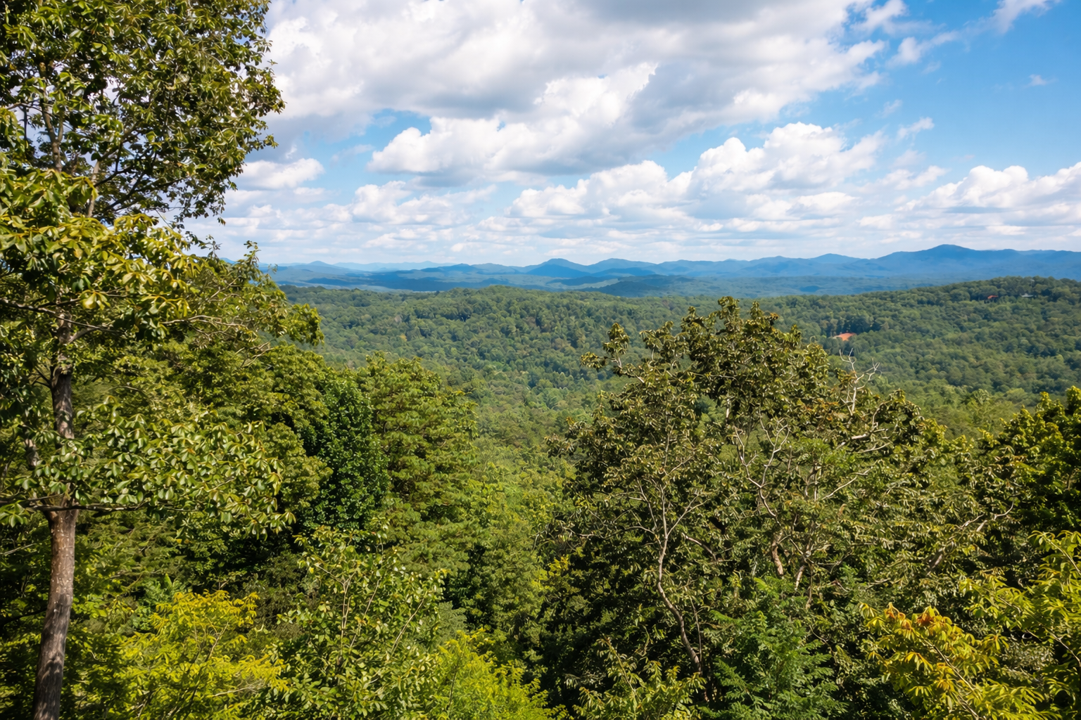 Green forested landscape with trees in the foreground, rolling hills in the middle, and distant mountain range under a partly cloudy sky.