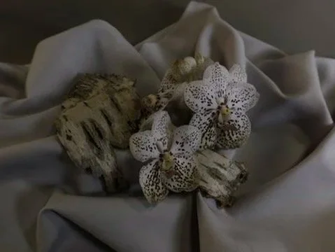 Still life at Berlin 25