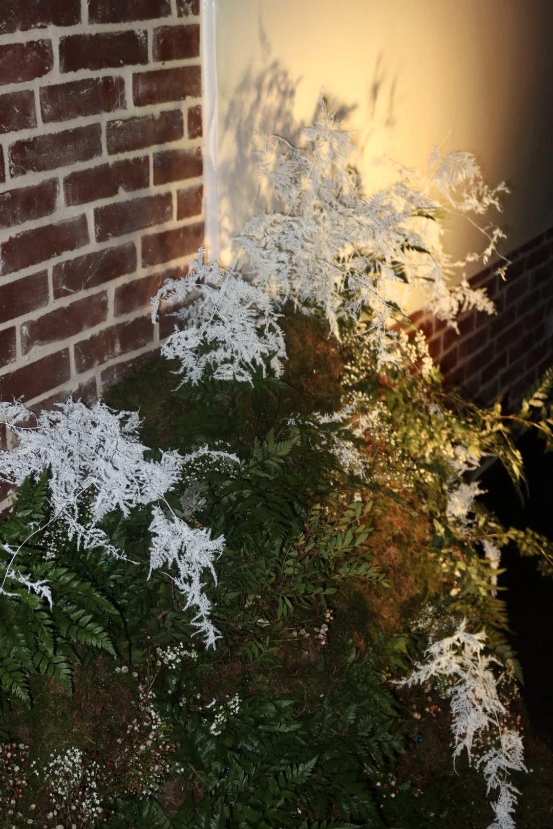 J&A Paris 2026, Assistant: Leoni Kolbeck