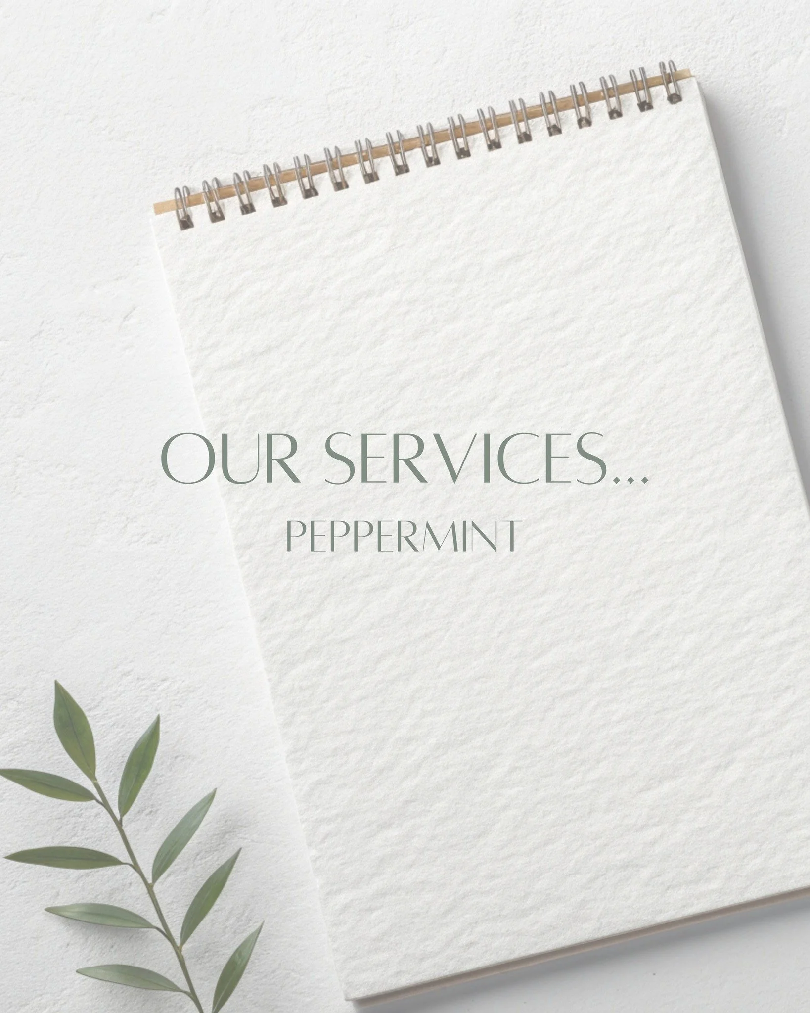 Happy Monday 🌟

A reminder of our services...
Our support is designed to bring calm, clarity and organisation to busy professional lives.
From executive and personal assistance, to lifestyle support, home projects and creative services, we work behi