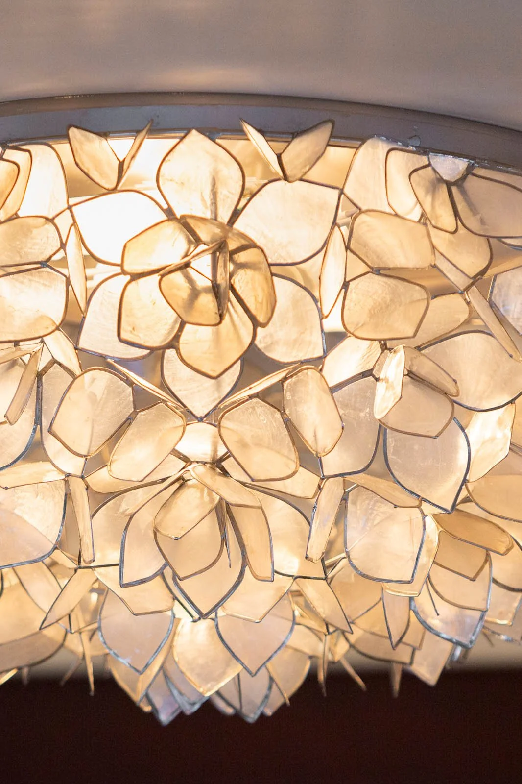 Copy of Details 9515 ©Jim Raycroft.jpg