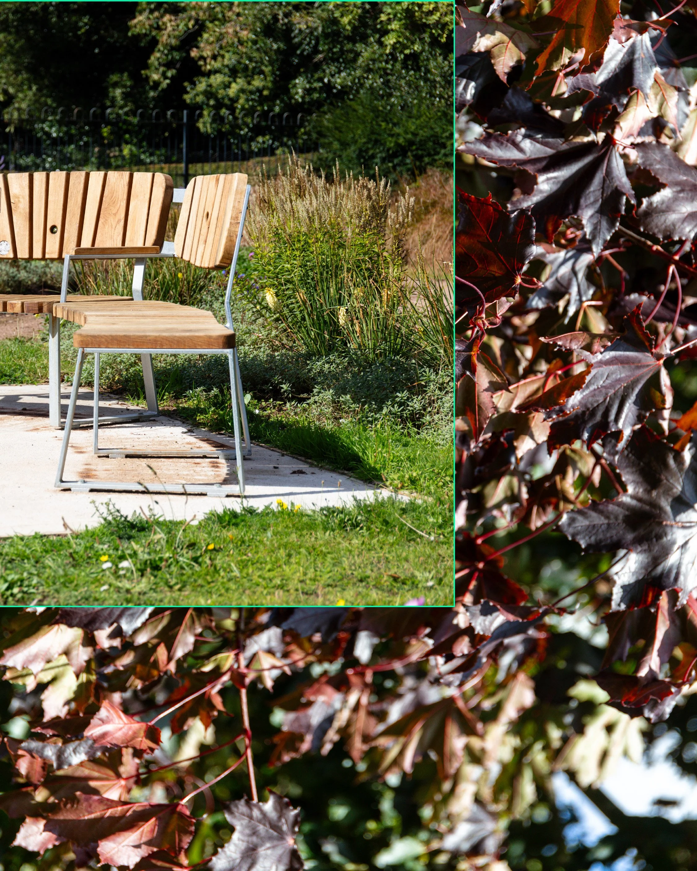 Holywells Park bench project-03.jpg