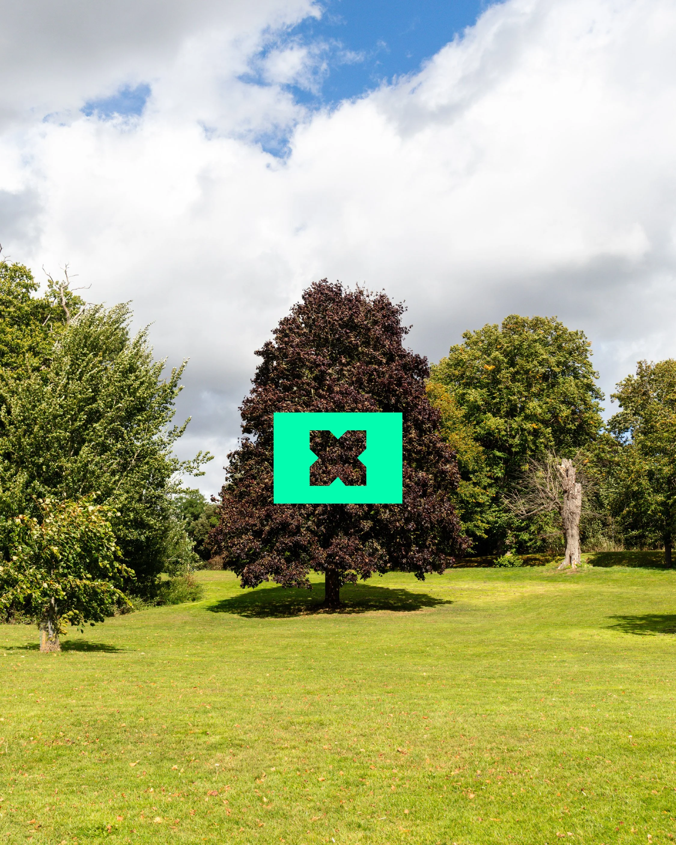 Holywells Park bench project-04.jpg