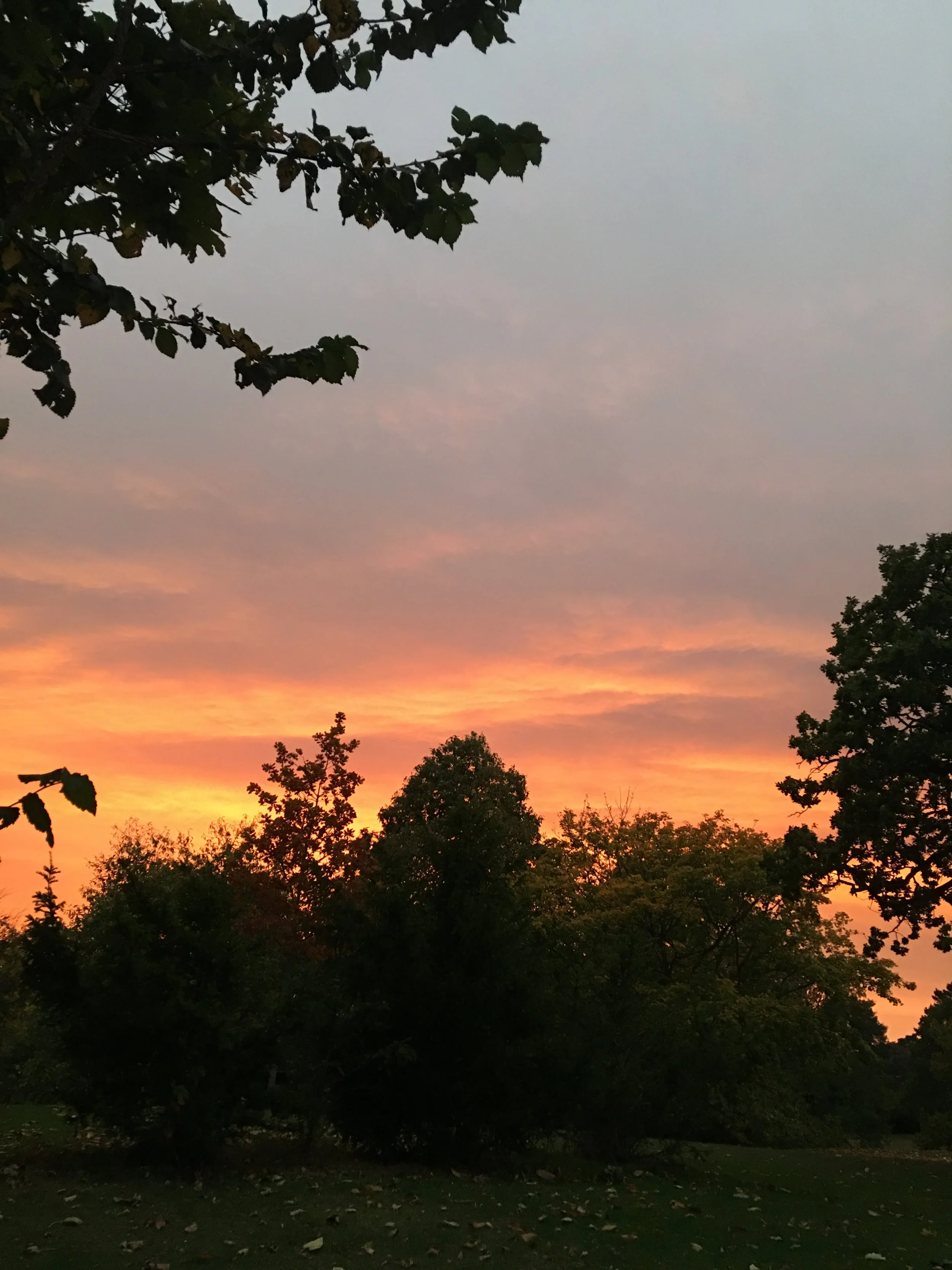 IPSWICH. Park._9702.JPG