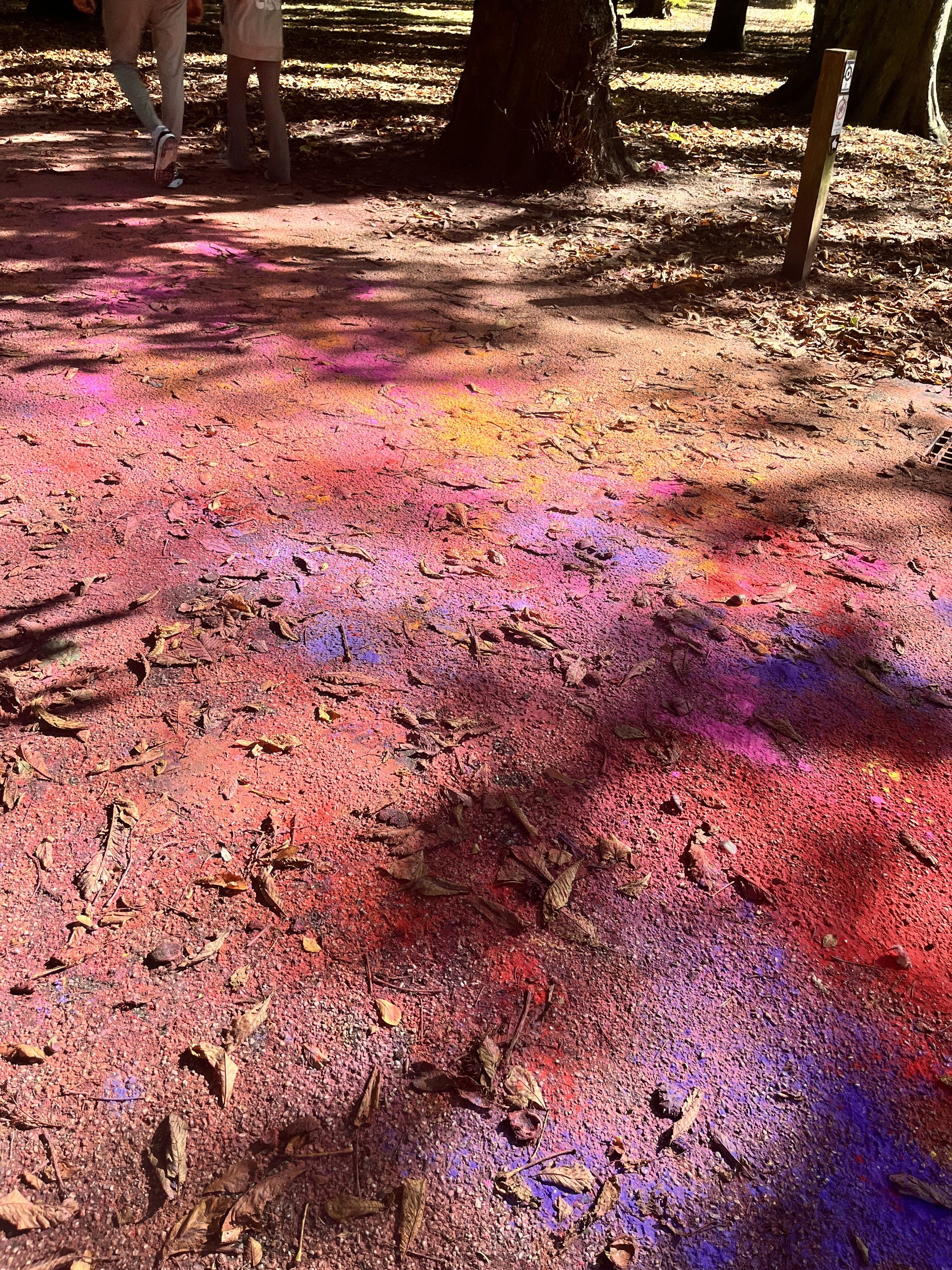 IPSWICH. Park._9784.JPG