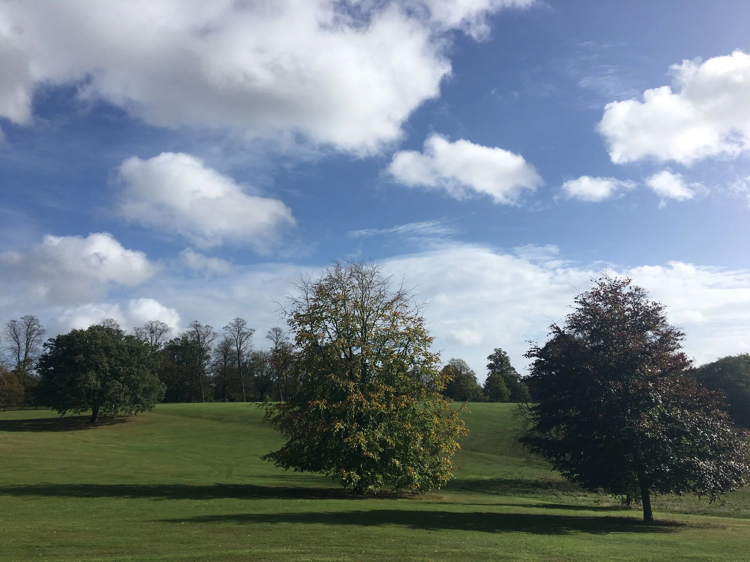 IPSWICH. Park._9815.JPG