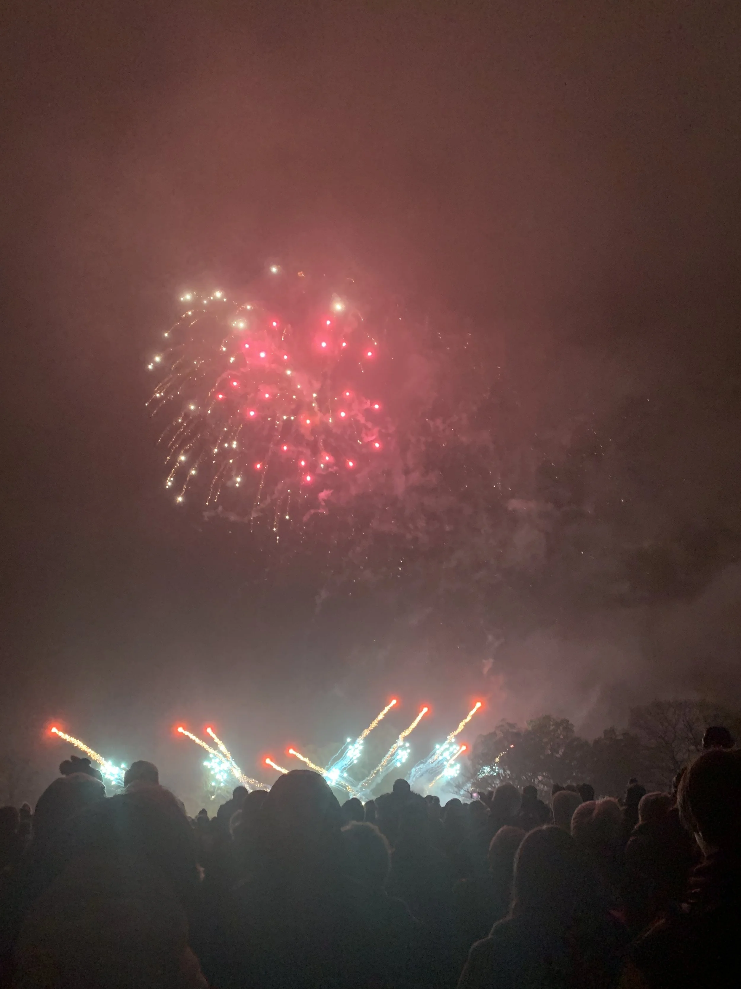 IPSWICH. Park.Fireworks.JPG