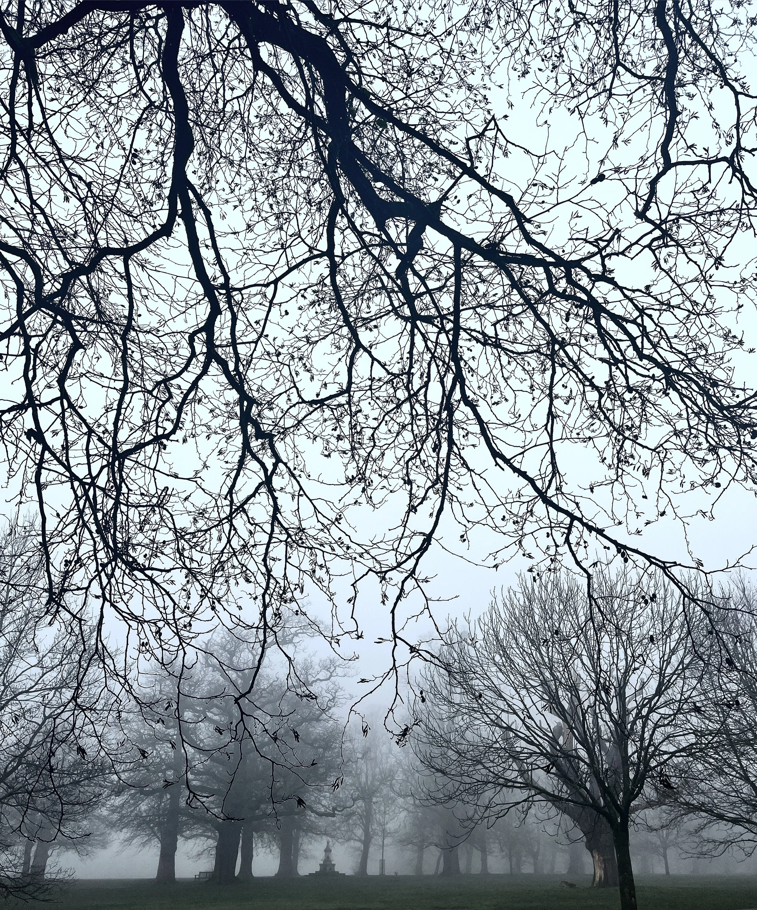 IPSWICH. Park. Winter. WHATassociates.JPG